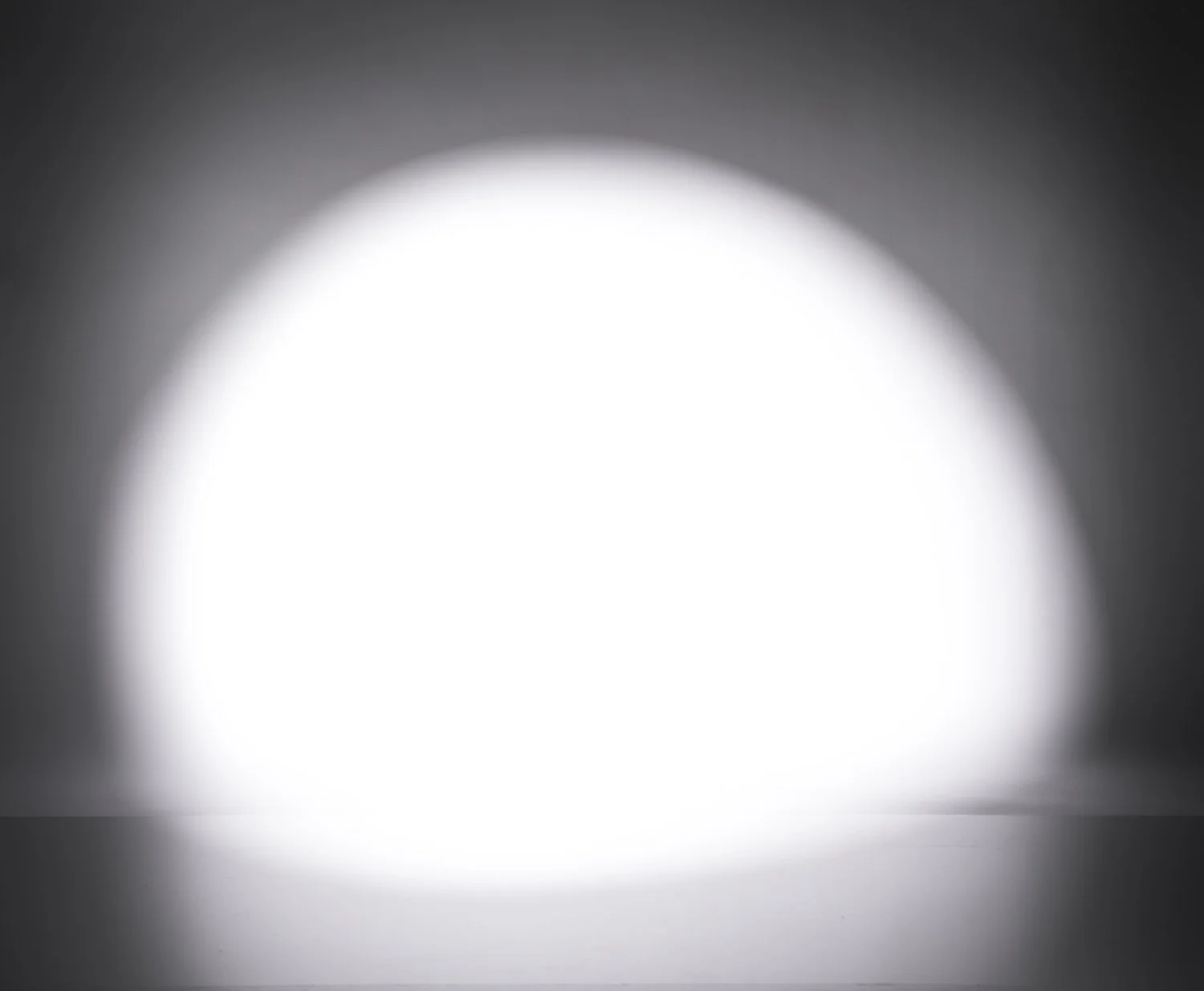 NLPS_OPICSPT_0106.jpg