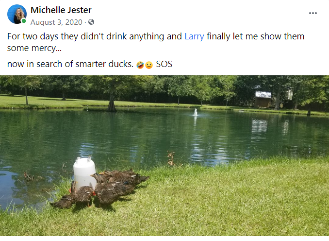 _Michelle Jester Smarter ducks please.png