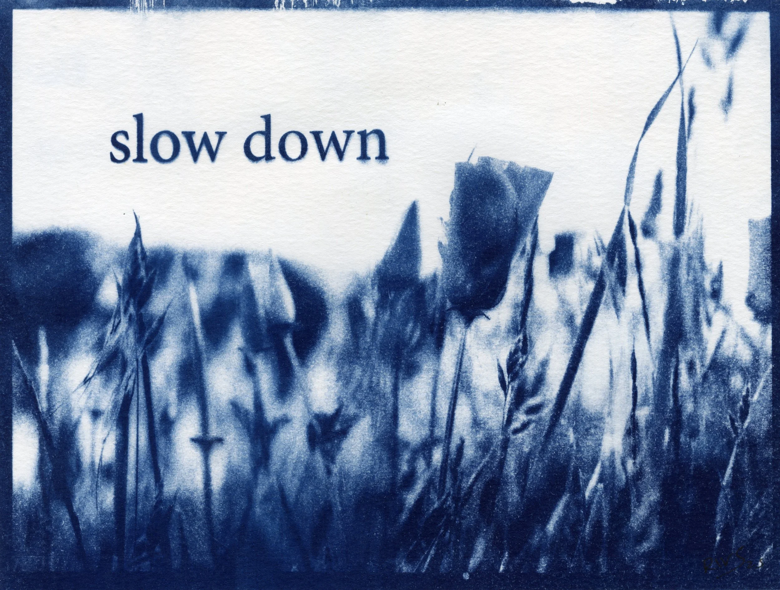 img20251208_11064965.jpg (Copy)