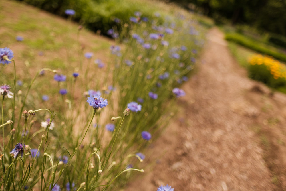 FumioWeddings - Blog Images - Dundurn Castle-11.jpg