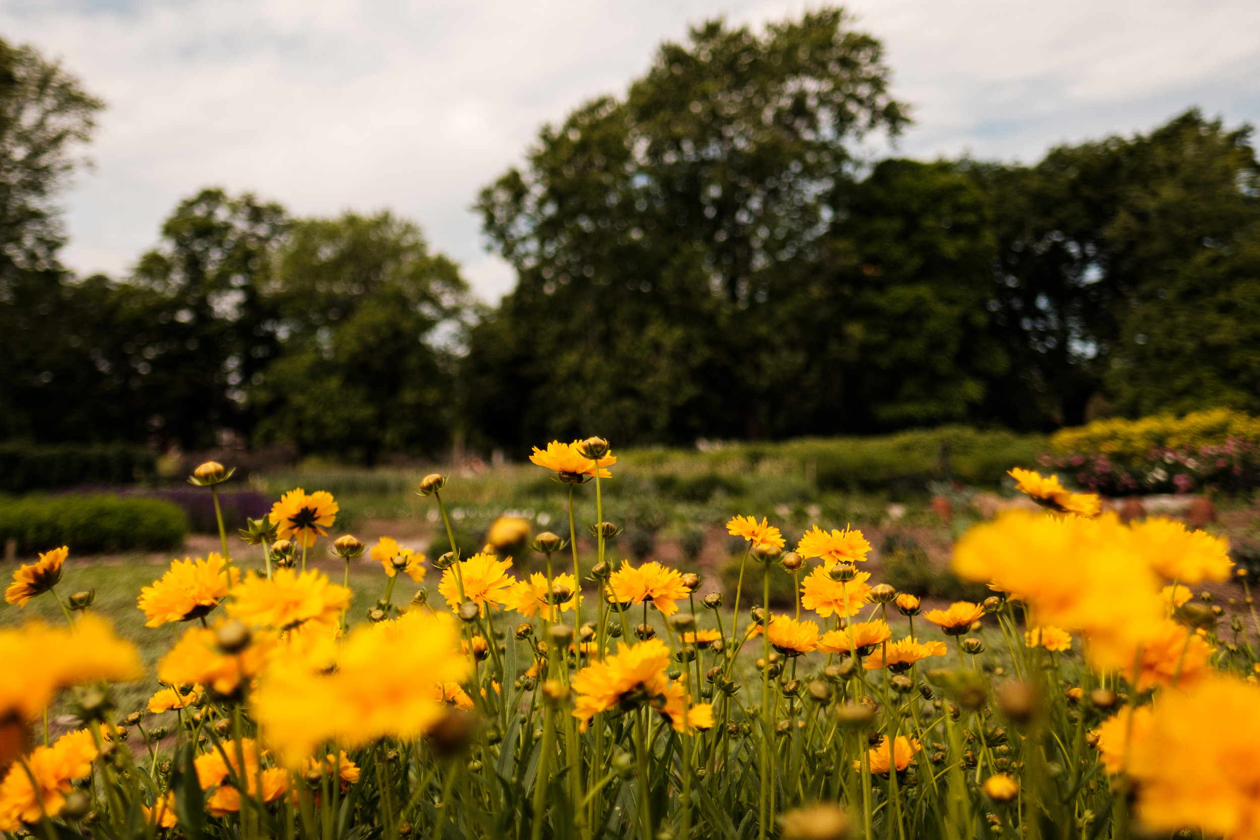 FumioWeddings - Blog Images - Dundurn Castle-12.jpg