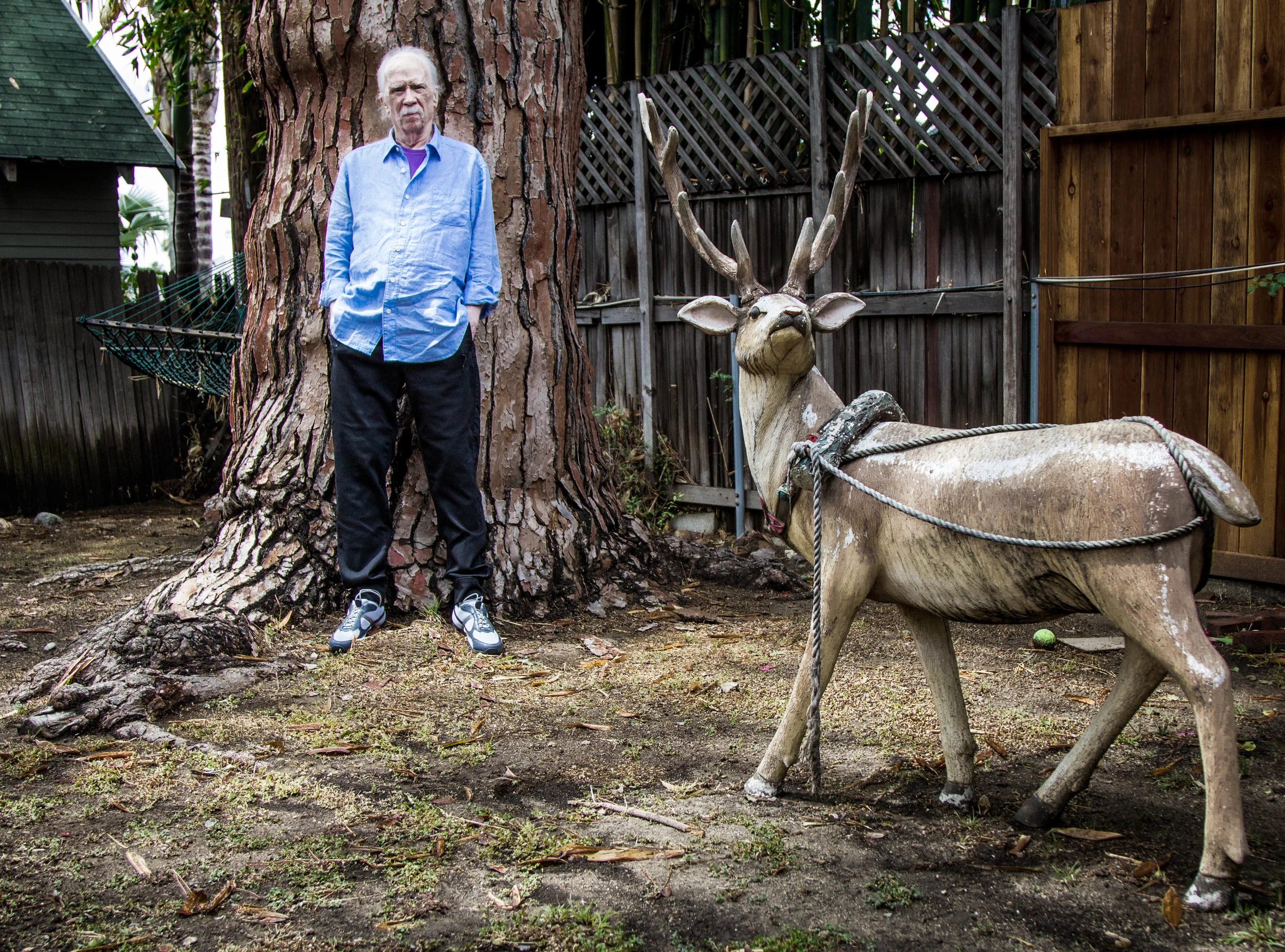 Carpenter and Vixen straight-8311.jpg