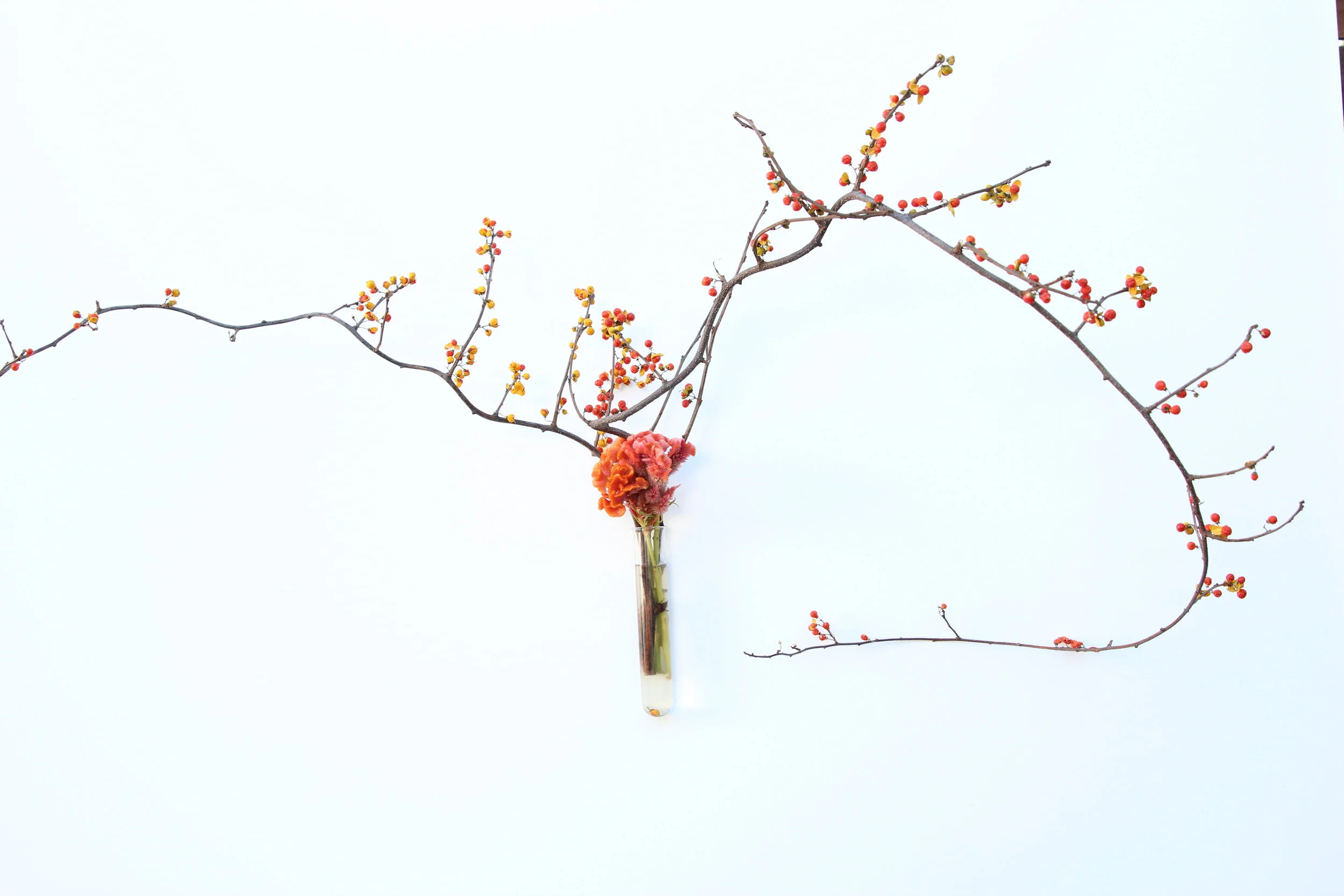  The Challenge: To bring out the vibrant potential of a subtle transparent glass product.  