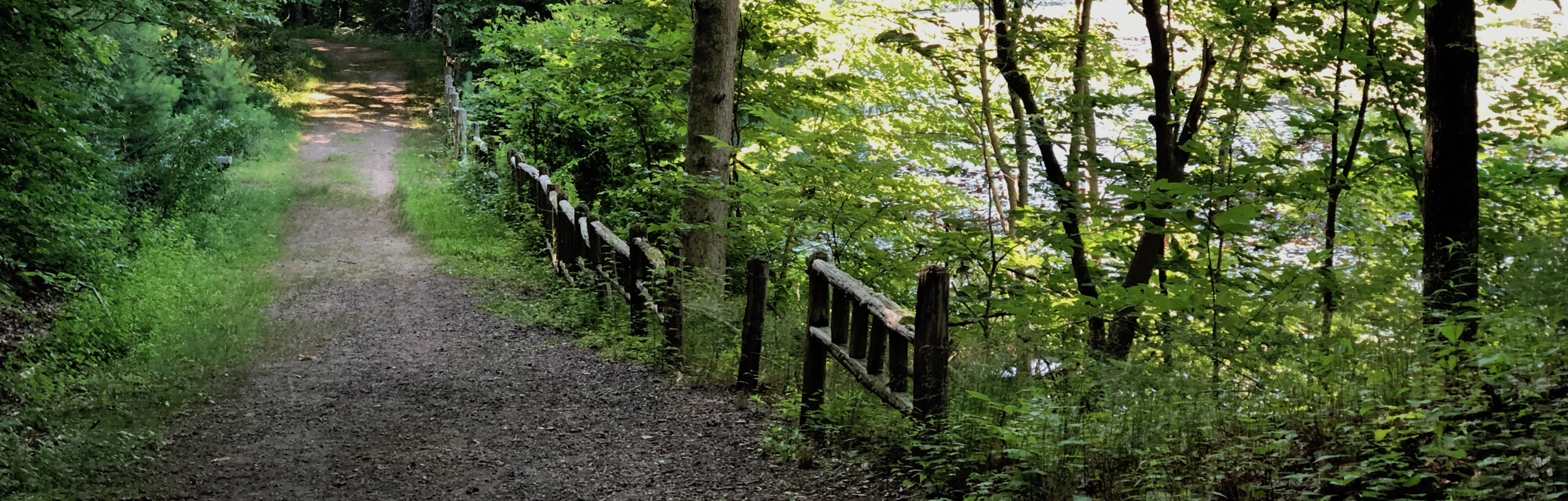 PathByThePondBanner.png