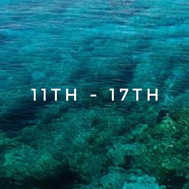 WWW.SOCIALSWEATPROJECT.COM
(Website now live)
.
We have the best 6 days planned for you. .
* Fun workouts
* Yoga
* Meditation * Excursions * Educational Workshops
* Incredible meals
* Chill out and recovery * Beach time

The list goes on.....
.
.
Ear