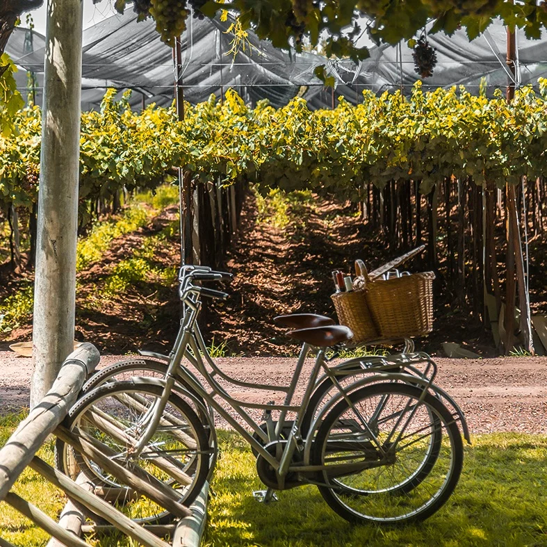 Bodega Santa Julia
