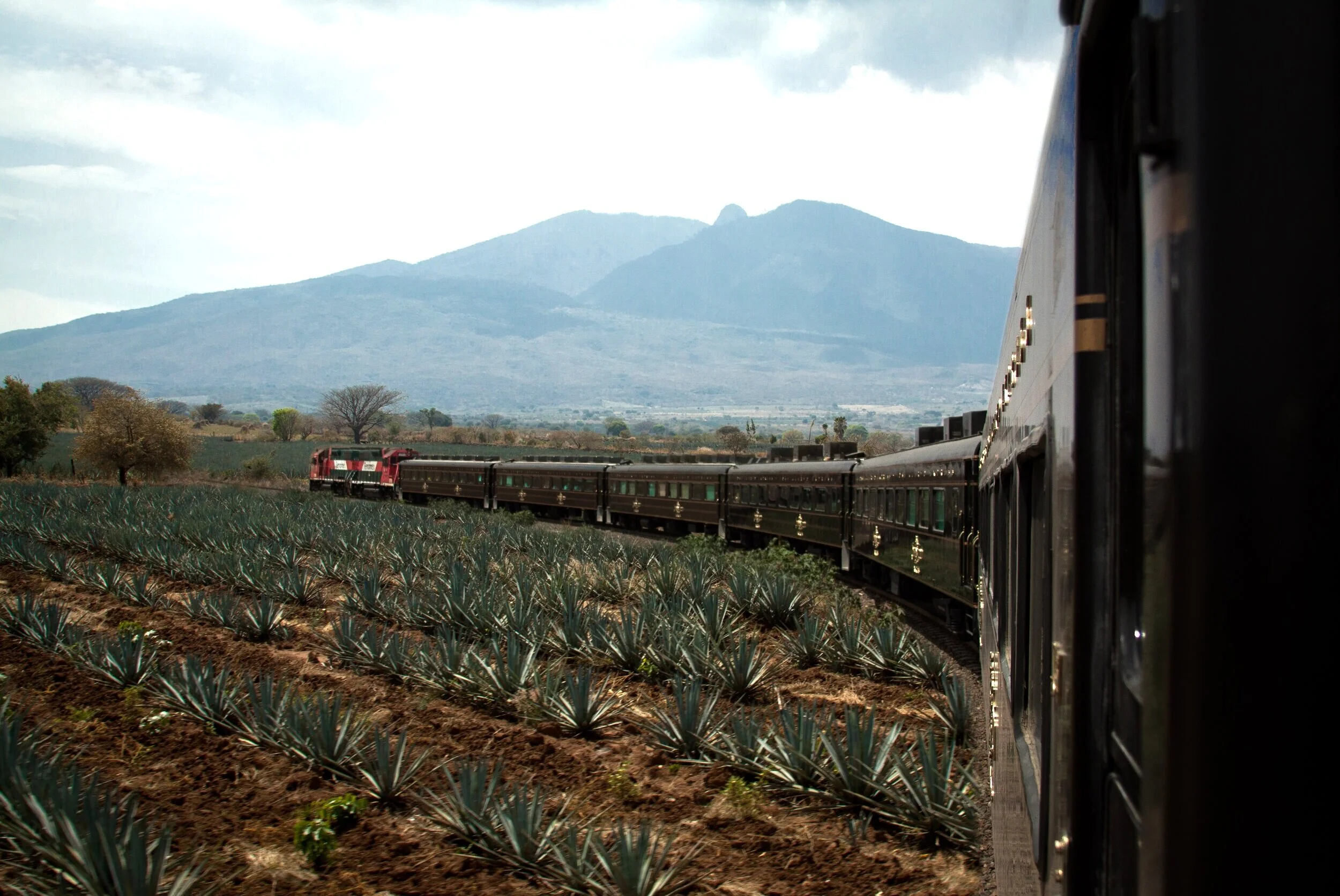 Jose Cuervo Express te lleva a la tierra del “oro azul”