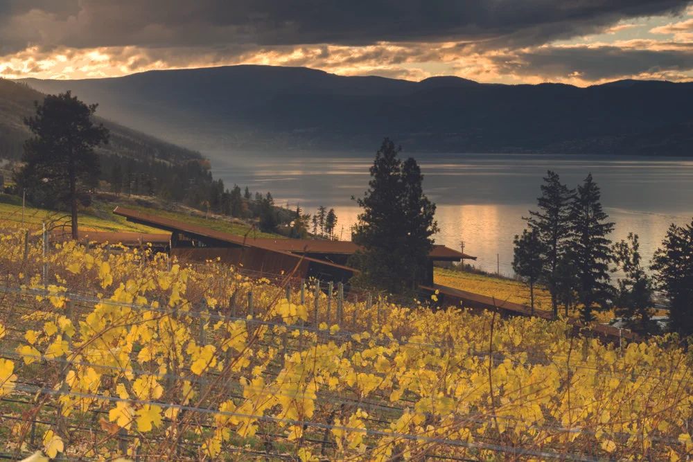 Innovación, Materialidad y Arte | Tom Kundig: Working Title