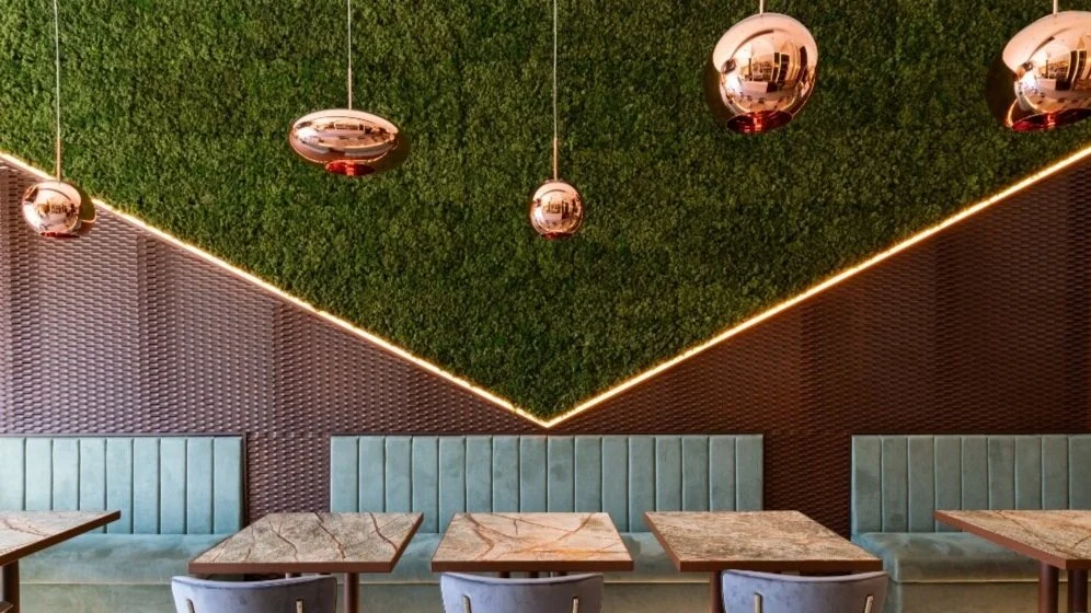 Crudo Sushi Bar|Encanto contemporáneo