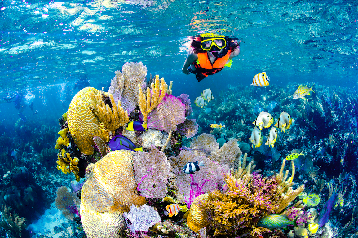 Playas mexicanas, paraíso para snorkelear