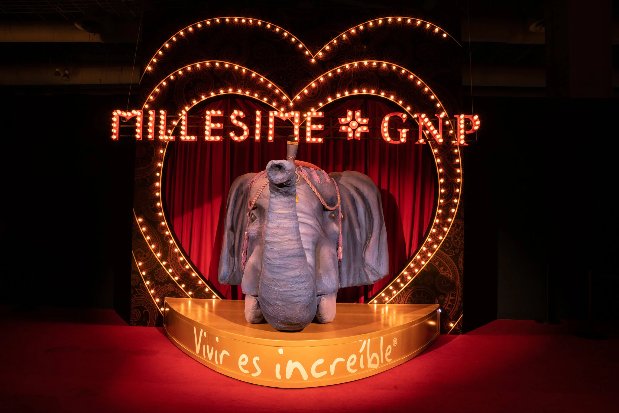 Millesime GNP | 10 años en México