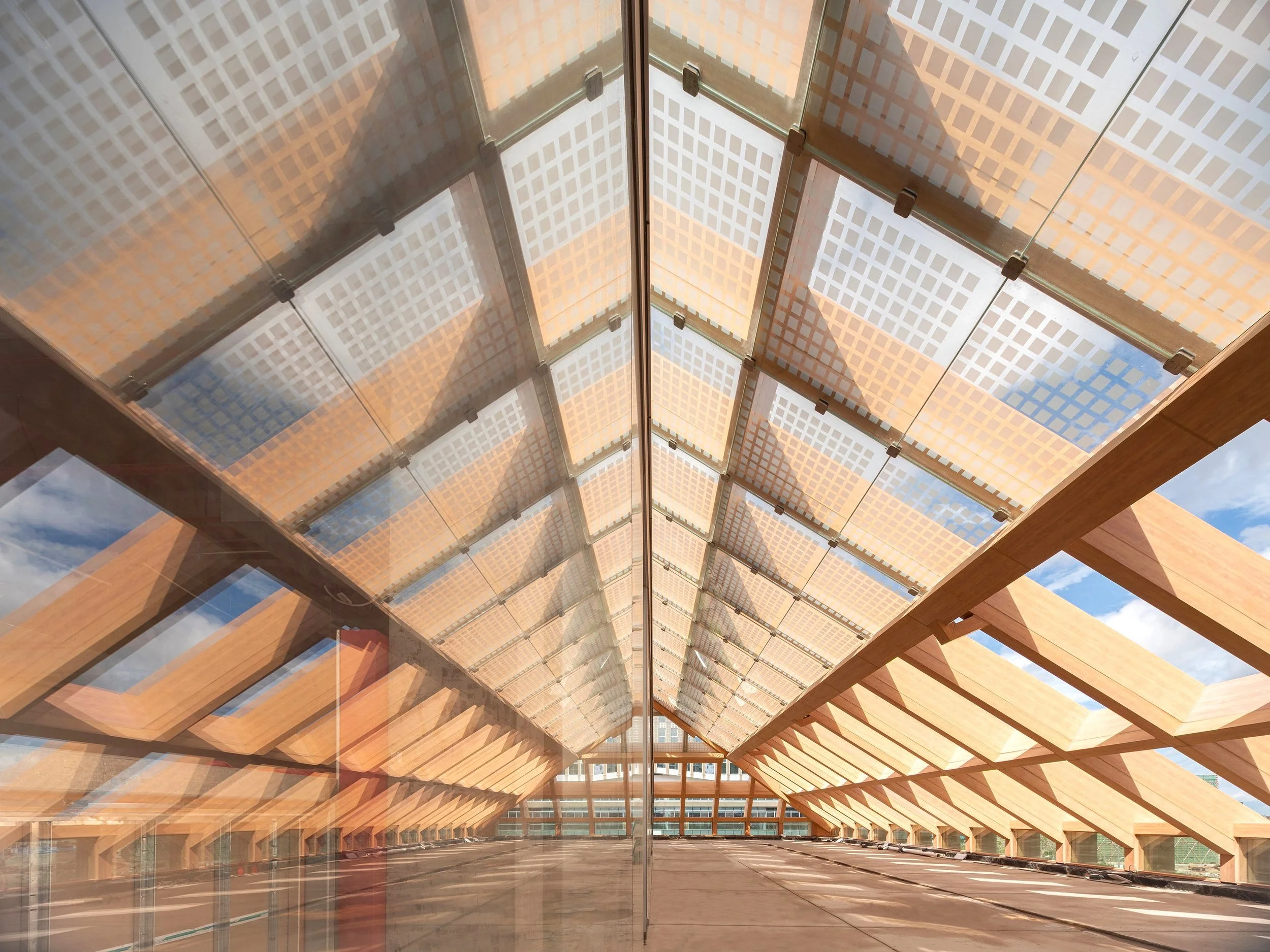 Sanya Farm Lab | Arquitectura orgánica 
