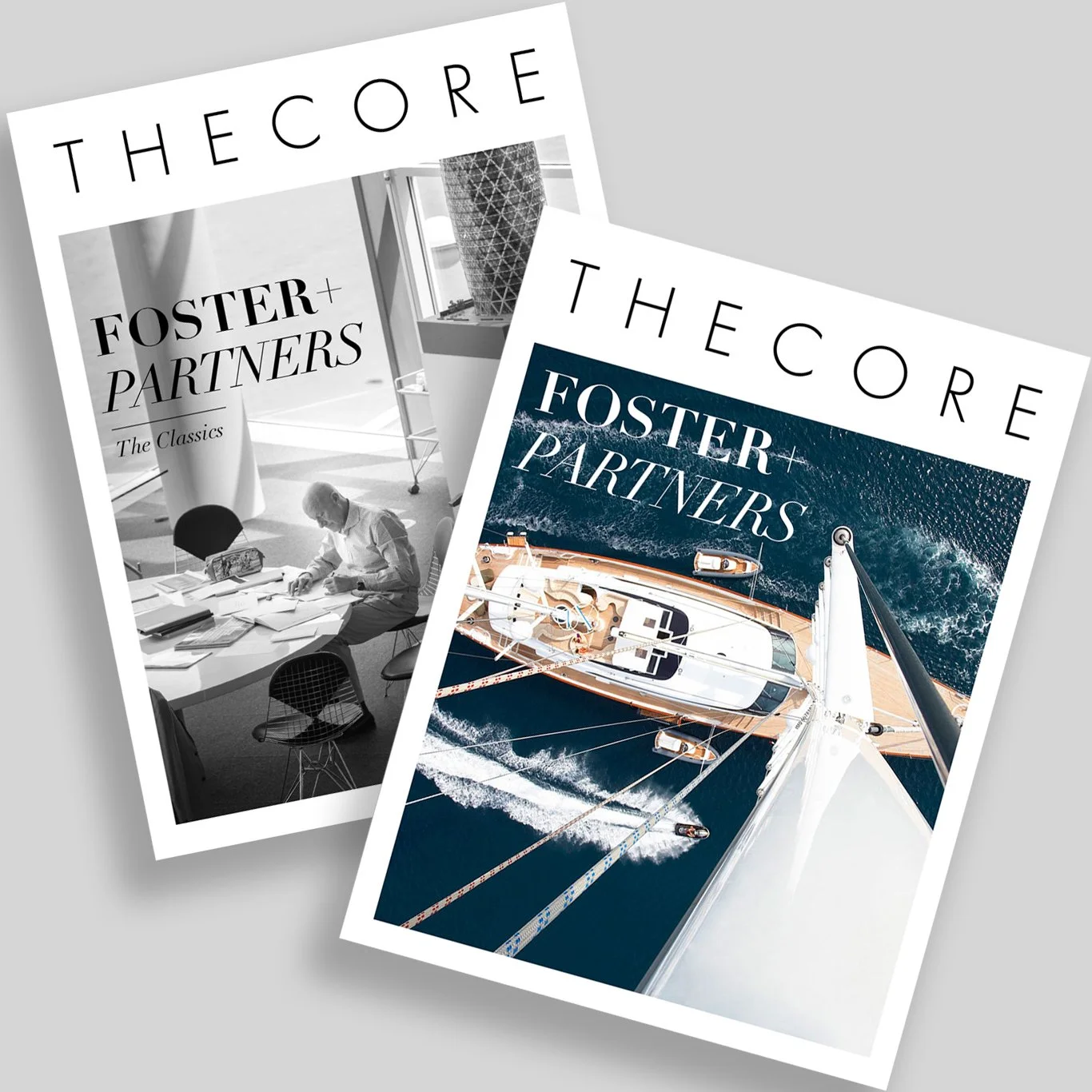 Foster + Partners (Culture &amp; Recreation Edition)