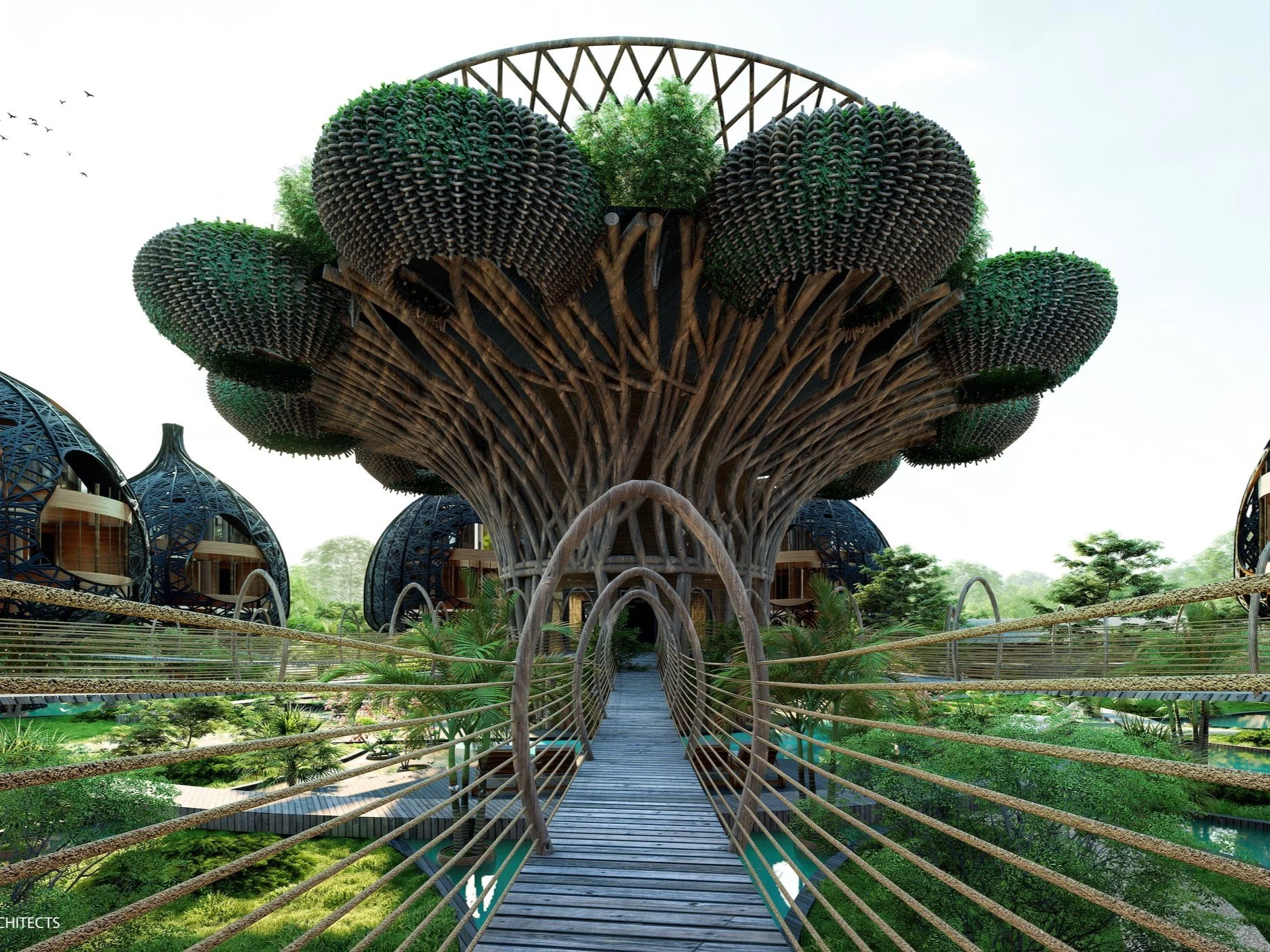 Life Tree Tulum | Archi-Nature