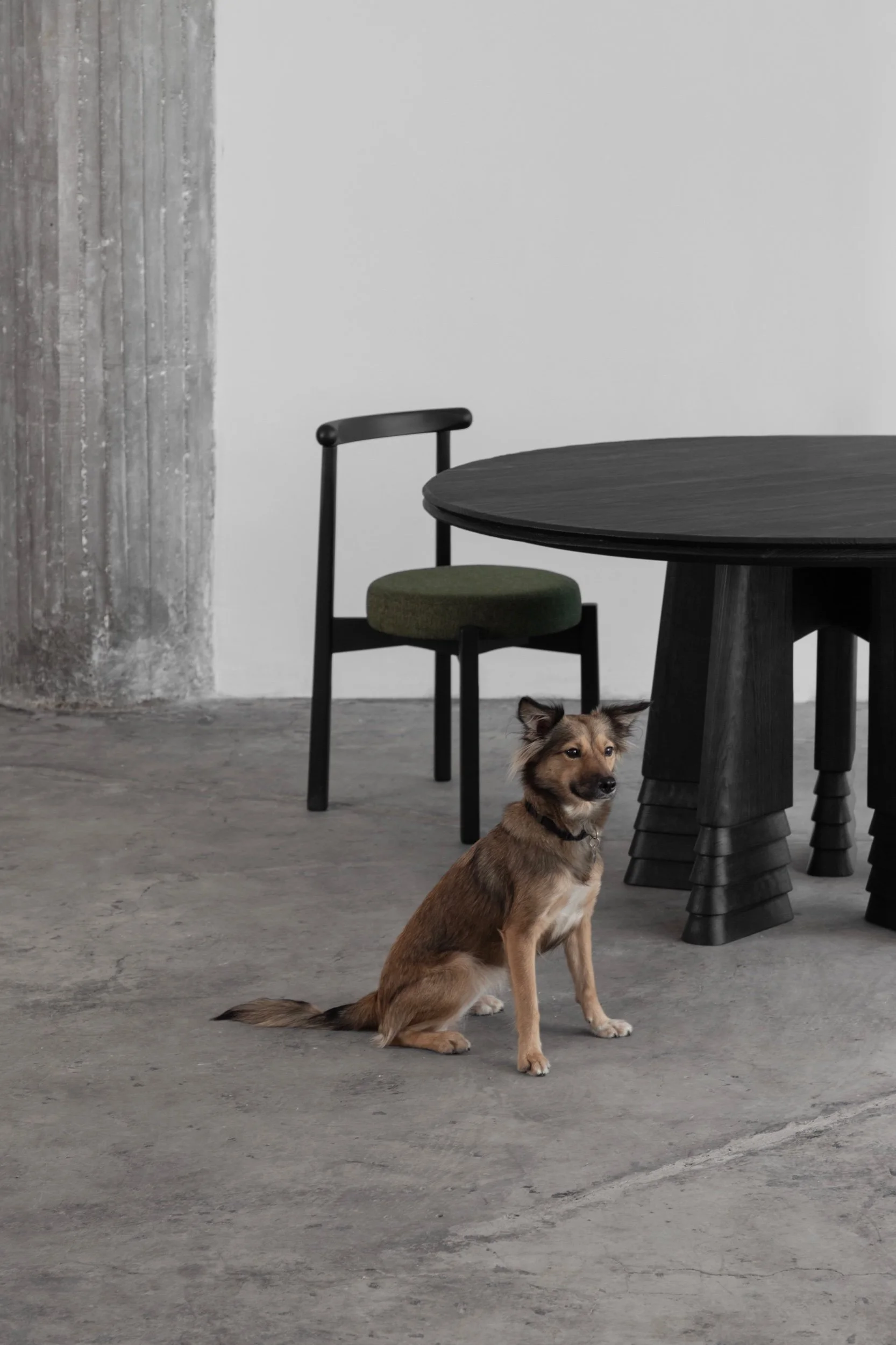 "Explorando la Elegancia: La Mesa Reforma en Foco por Achach Fotografía"