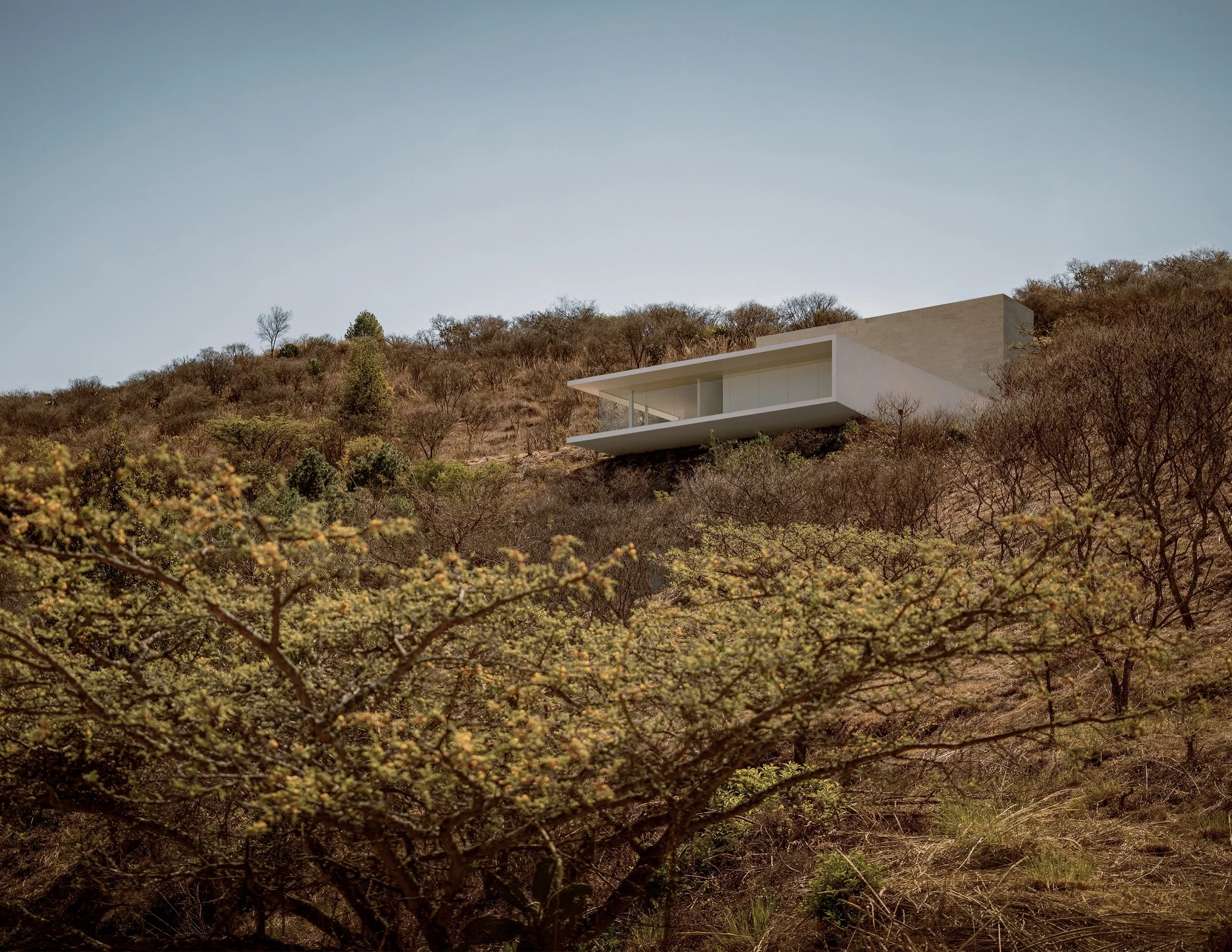 Premio Interceramic de Arquitectura e Interiorismo 2024: Una Celebración del Talento Mexicano y Global