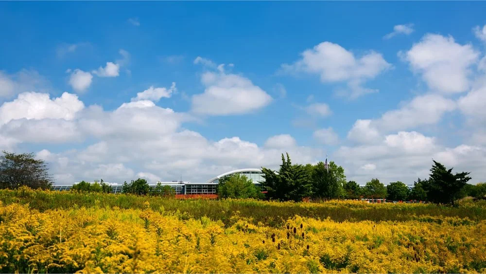 MillerKnoll Unveils Its Sustainability Strategy in the Better World Report 2024