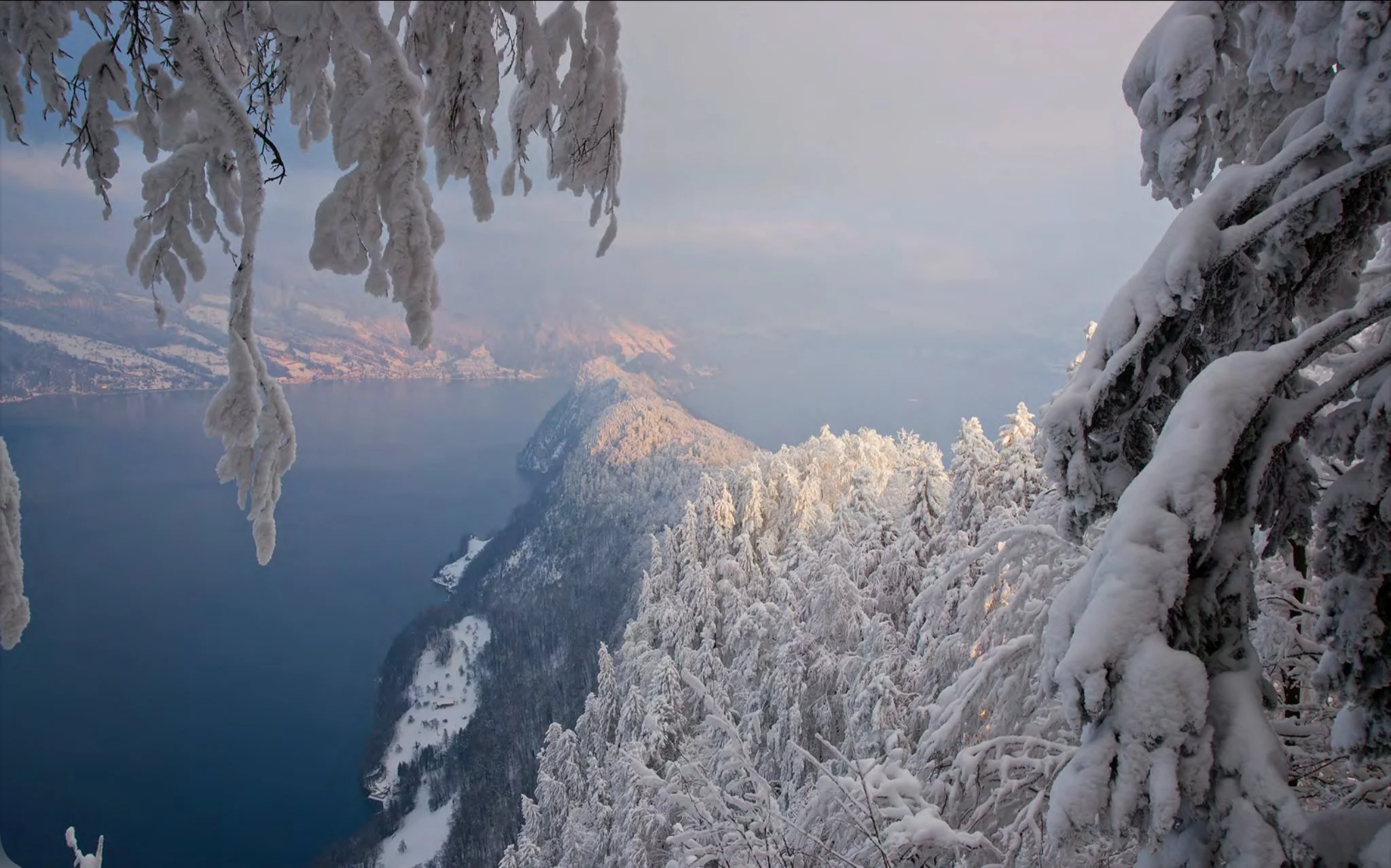 The Wave of Sustainable Design Reaches the Alps