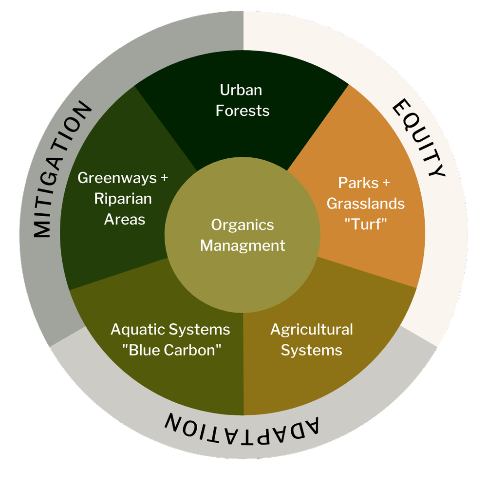 Managing Urban Landscapes for Climate Action—Resource Suite for Urban ...
