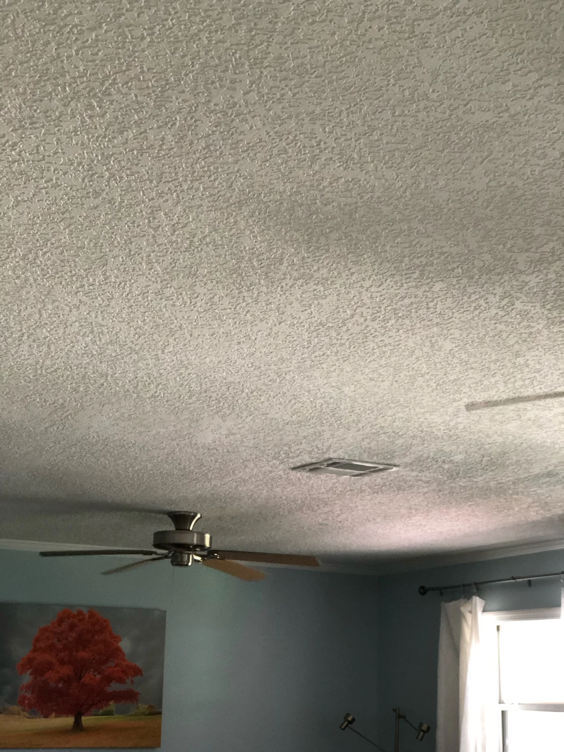 Ceiling “knockdown” texture.