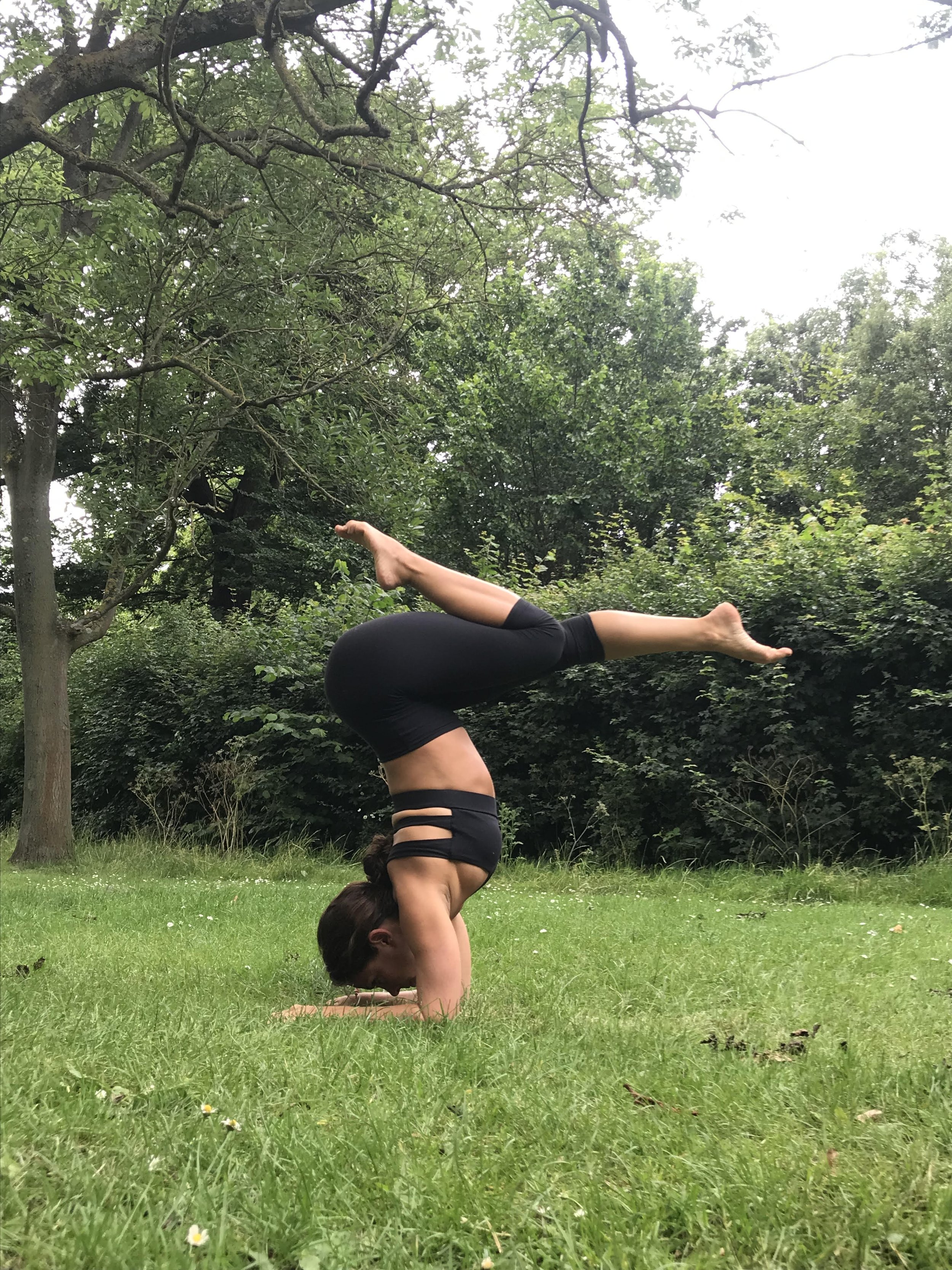 stretched peacock pose — Blog - Cam Lee Yoga