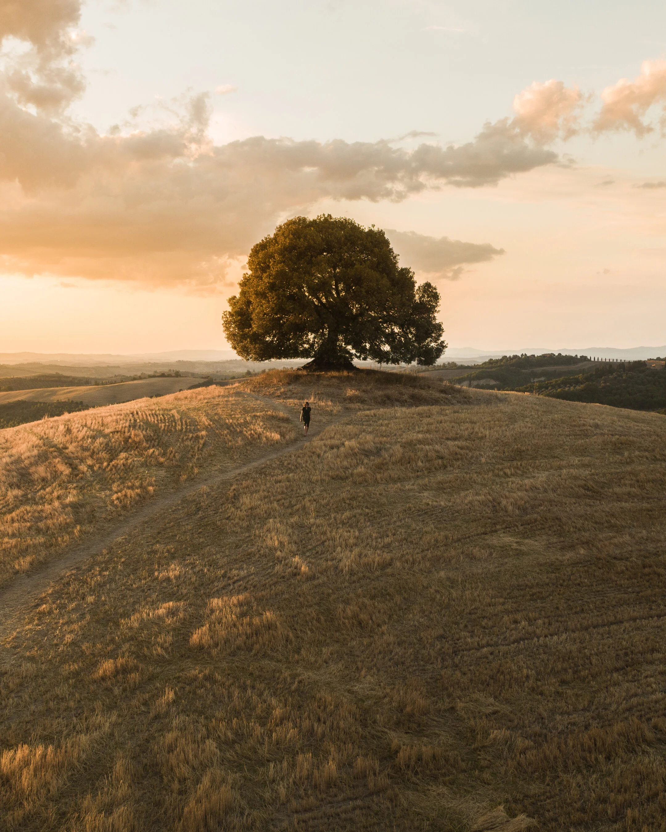 Tuscany 2019 Shots.jpg