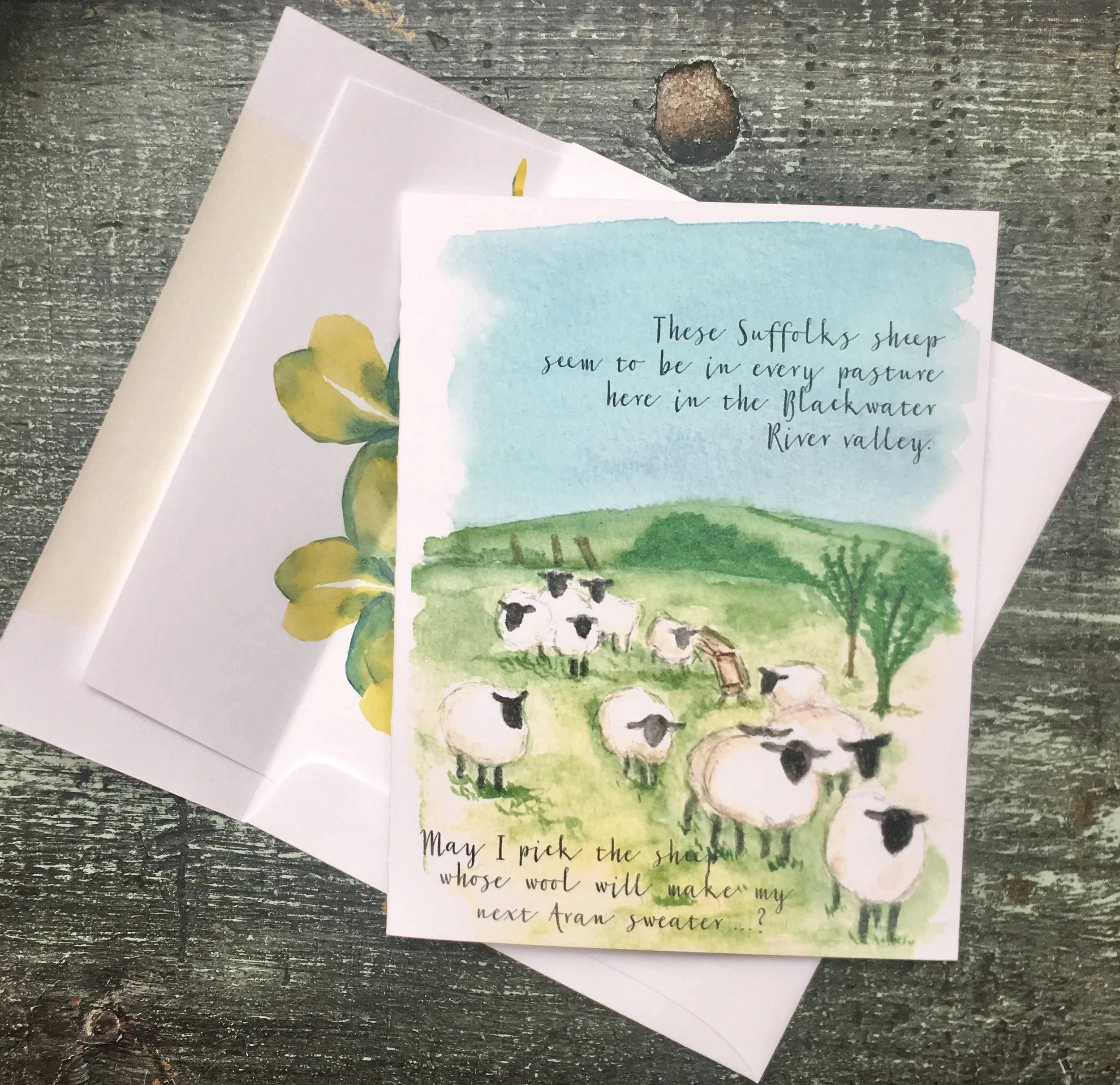 Ireland-sheep.jpg