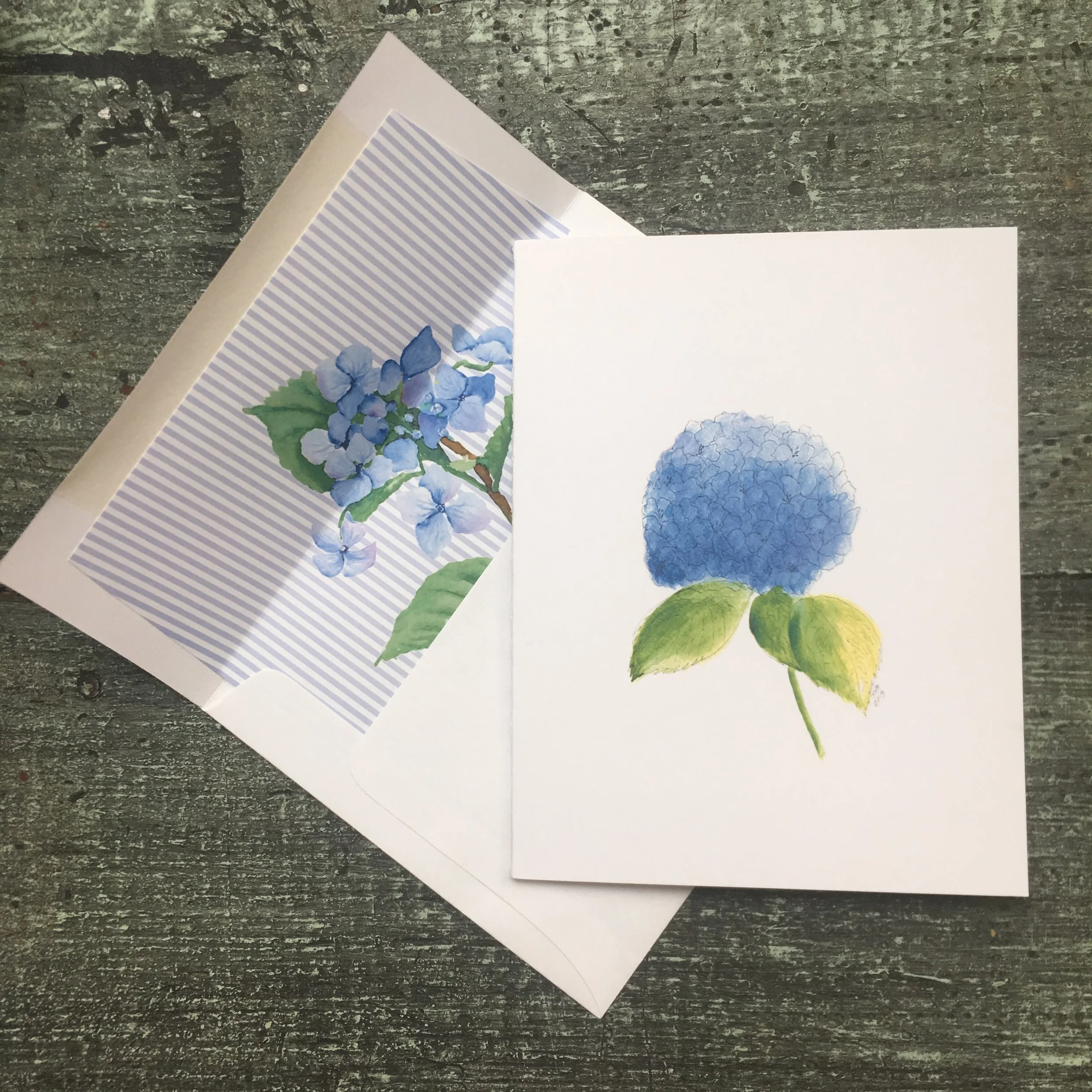hydrangea.JPG