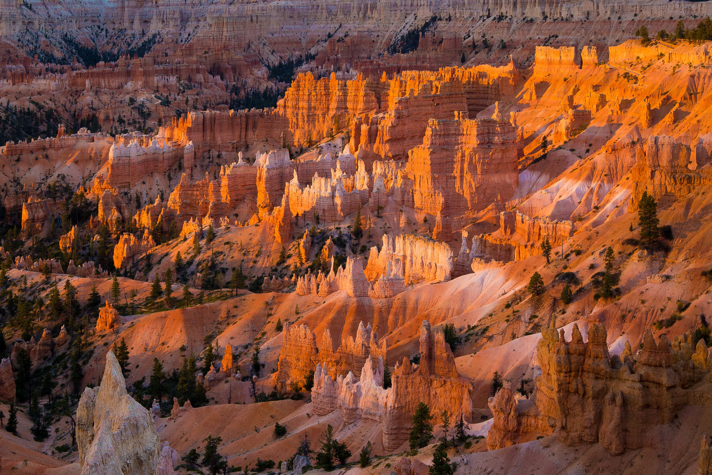 AdobeStock_136946409.jpeg