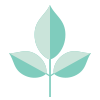 Lumette_botanical-icons_mint100.png