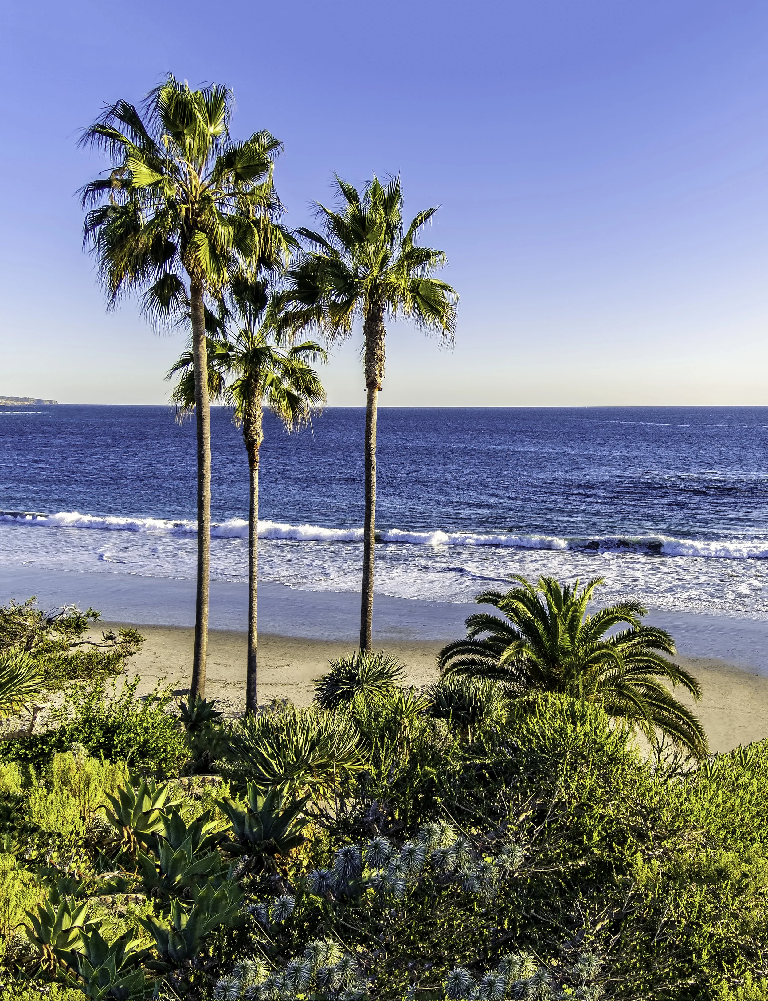Three Palms in Laguna Beach, CA