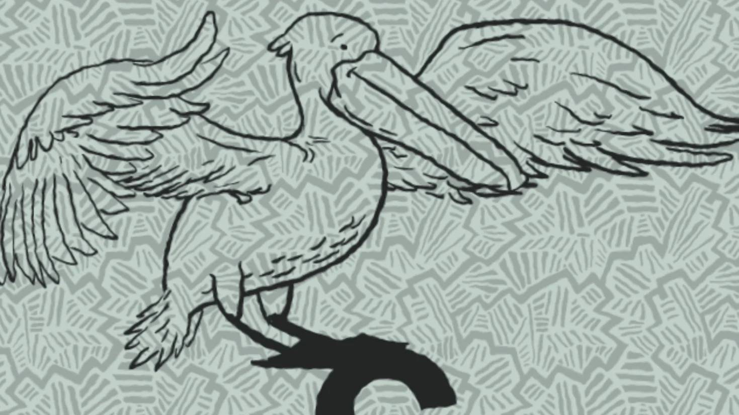 SeaestaSurf-Pelican.jpg