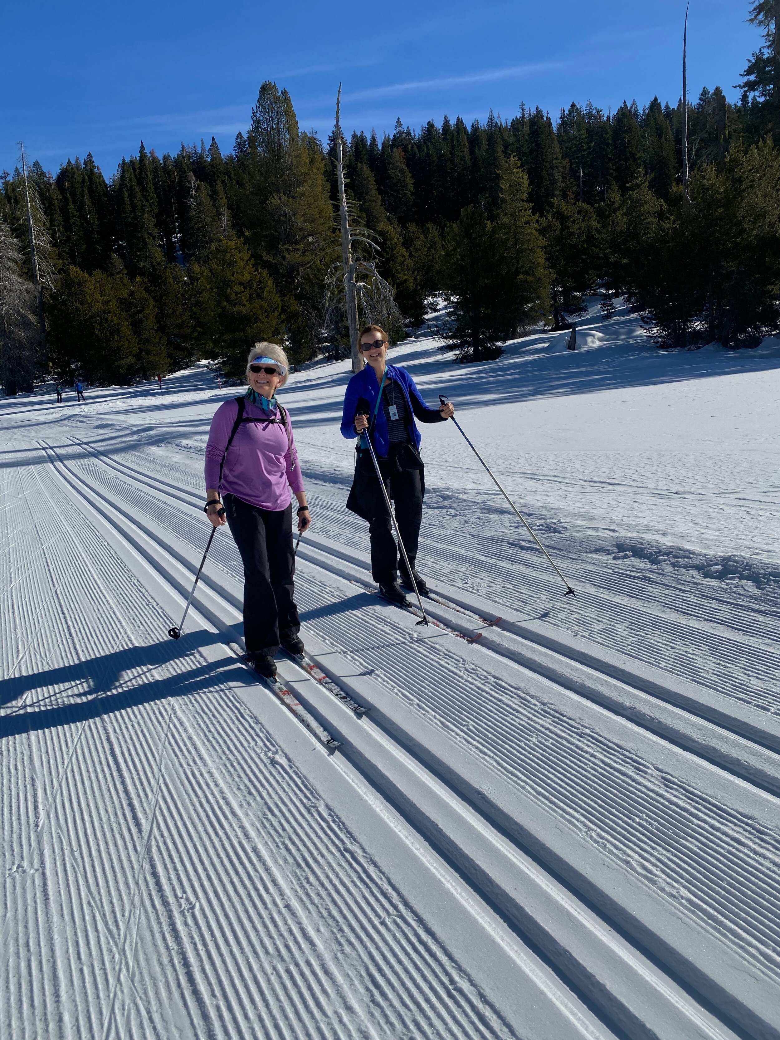 Folks enjoying the trails (1/10/20)