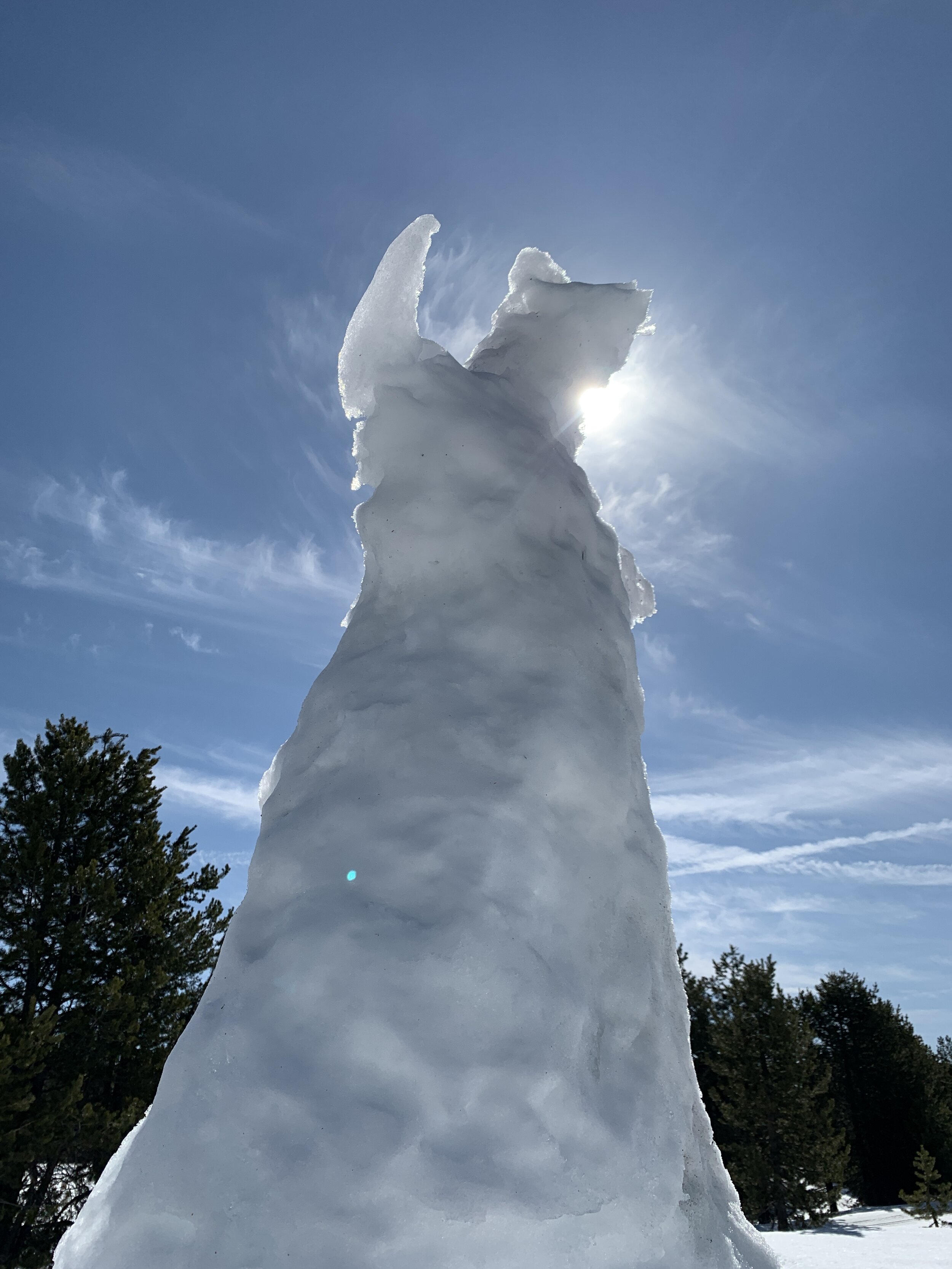 Sno-Zilla (2/20/20)