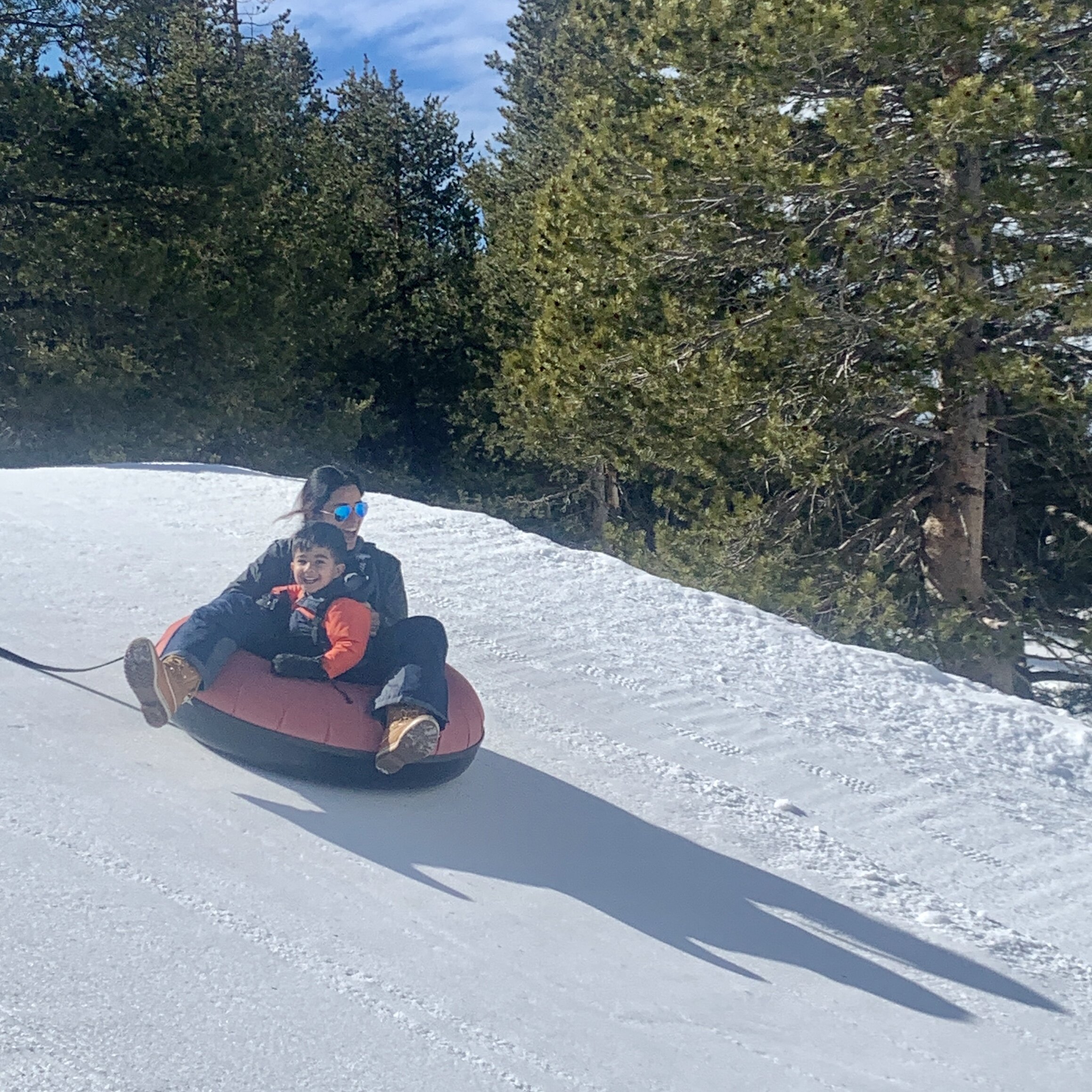 Family fun (2/15/20)