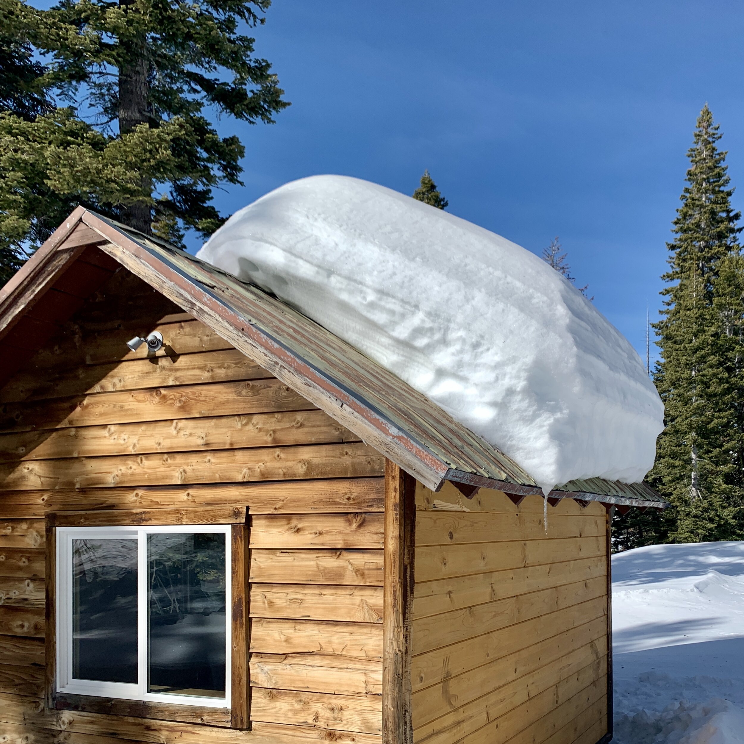 Osborne Hut (2/4/20)