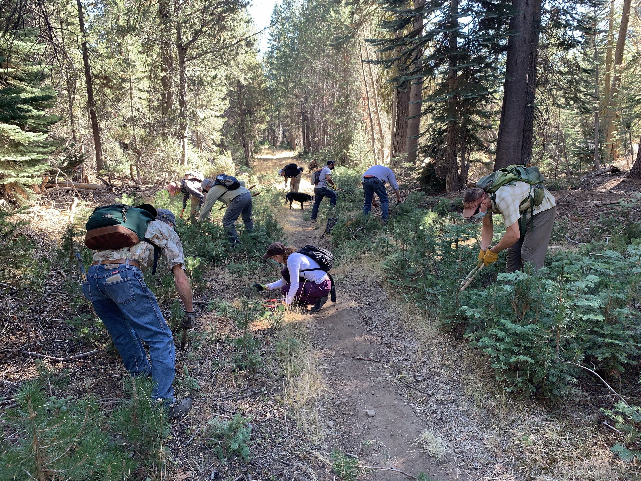 BV Trail Stewardship Trail Work Day &amp; Lunch
