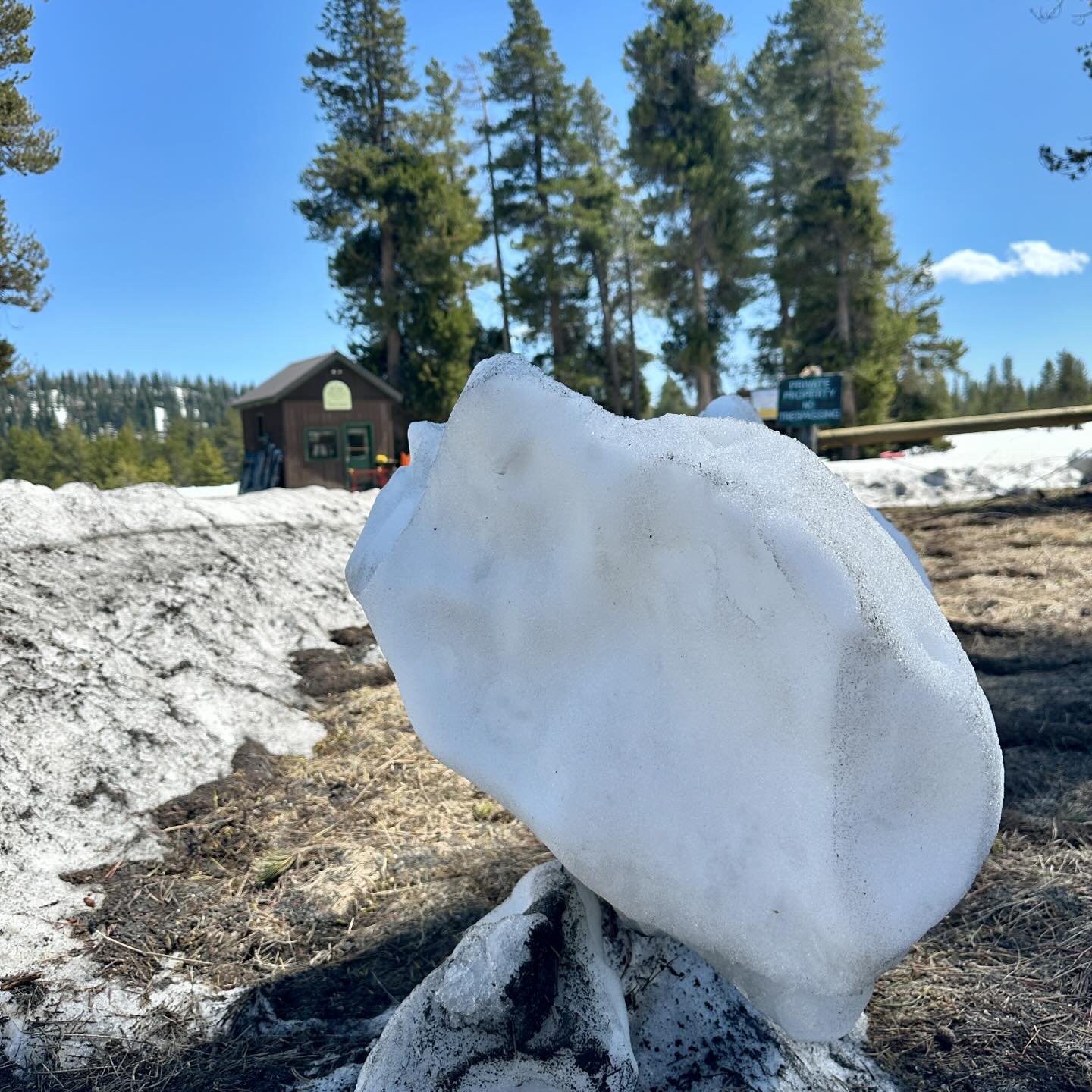 Spring has sprung and it&rsquo;s melting fast at 7100 ft.

#bearvalley #changeofseasons #spring #endofwinter