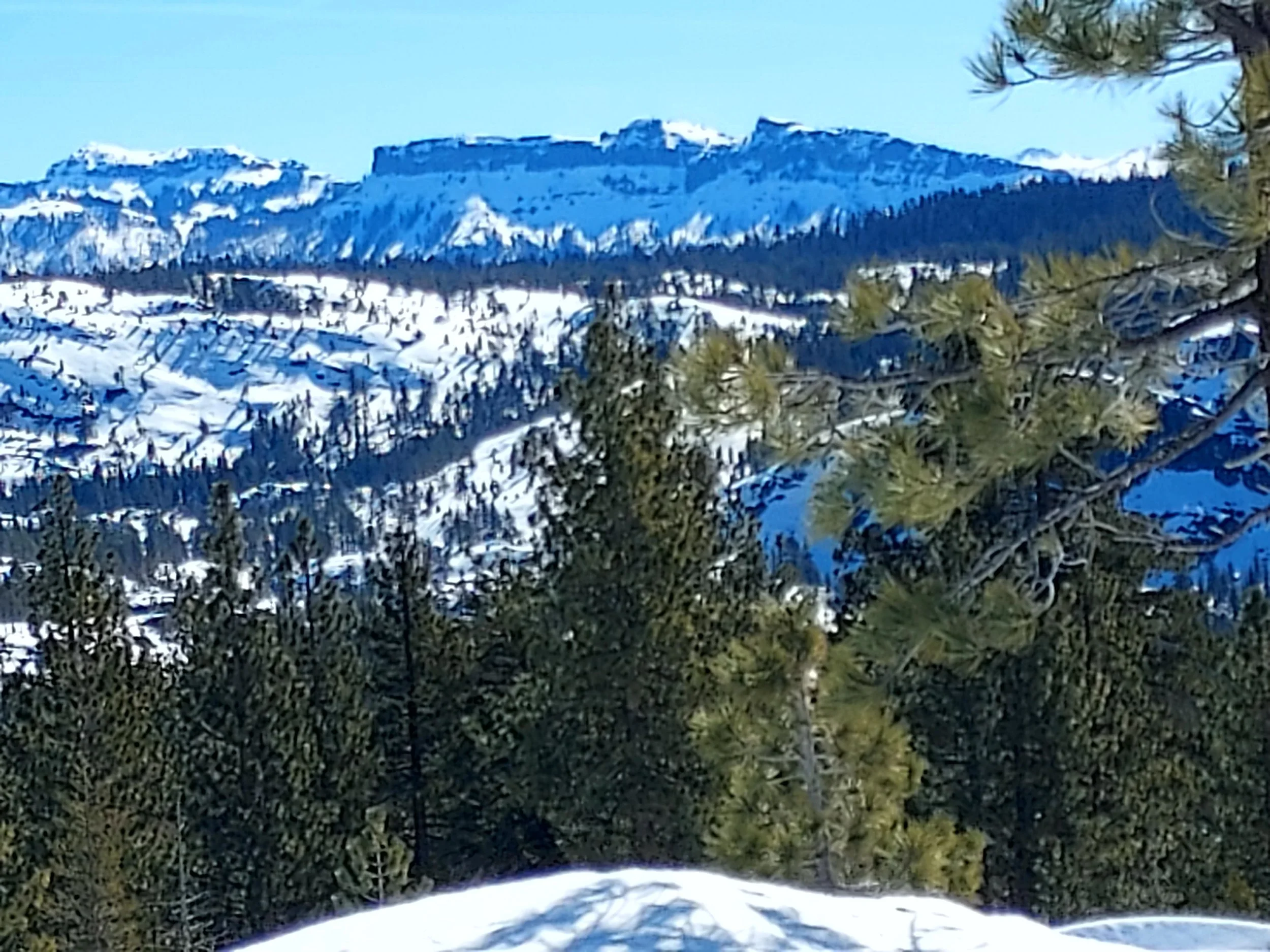 Projected Opening Day (11/28/24)