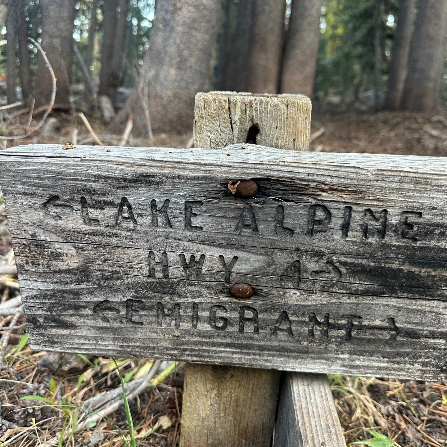 We love our local trails! Keep an eye on the weather, as rain is in the forecast, and the mountain bikers are excited for a &quot;brown powder day!&quot; Synonymous with a skier's &quot;powder day,&quot; many mountain bikers cherish a fresh rain even