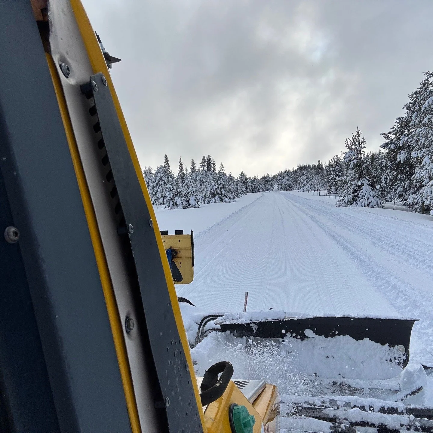 Opening day is tomorrow, Dec. 27th, for cross country skiing, snowshoeing, and tubing in Bear Valley. Wahoo! https://www.bvadventures.com/daily-trail-report