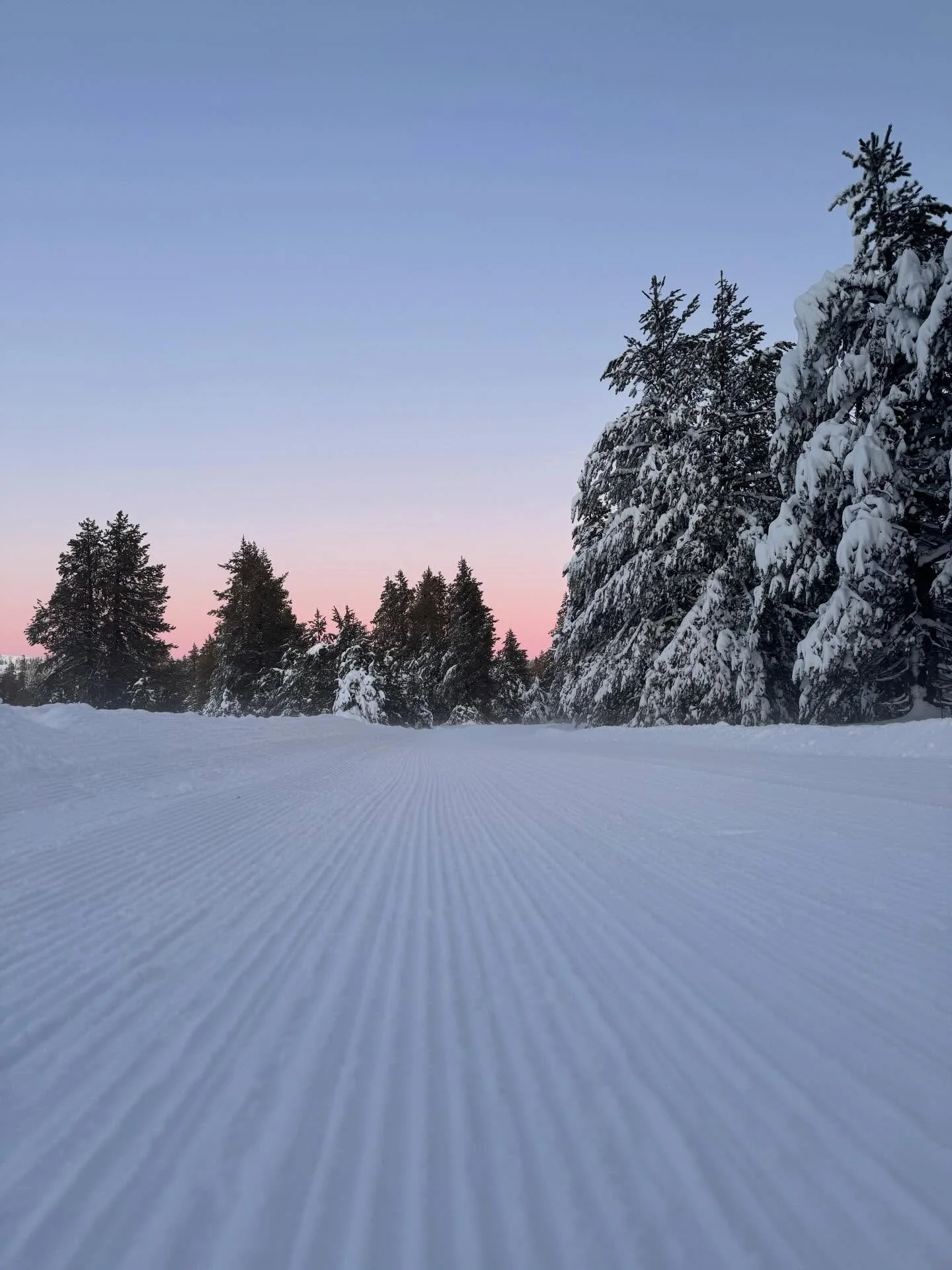 This groomers sight is your skiing delight!

#bearvalley
#crosscountryskiing 
#delight