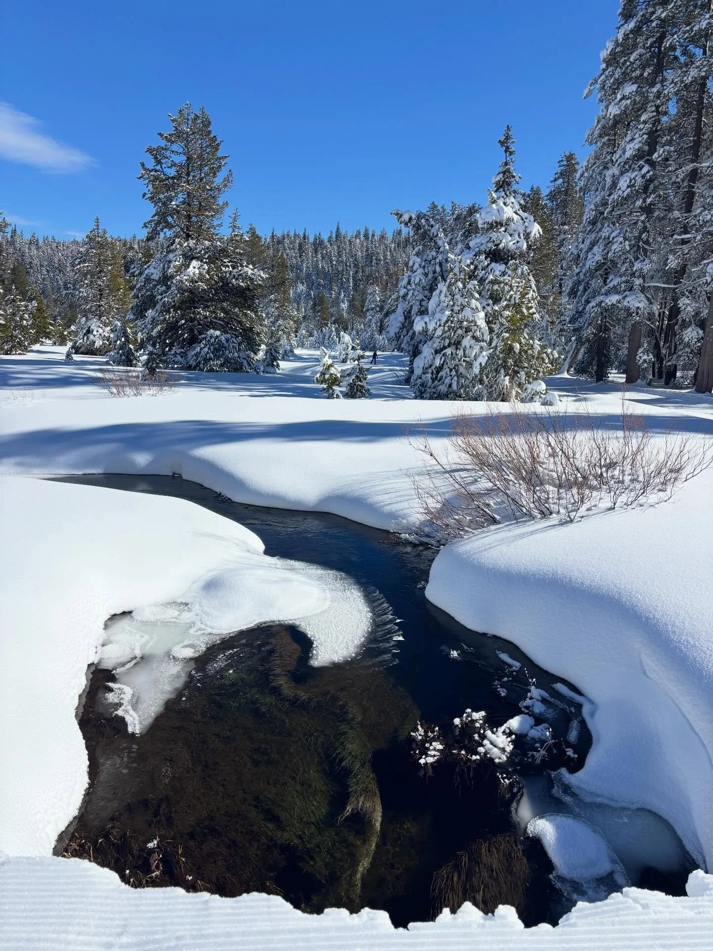 Welcome to our winter wonderland.  Cheers!