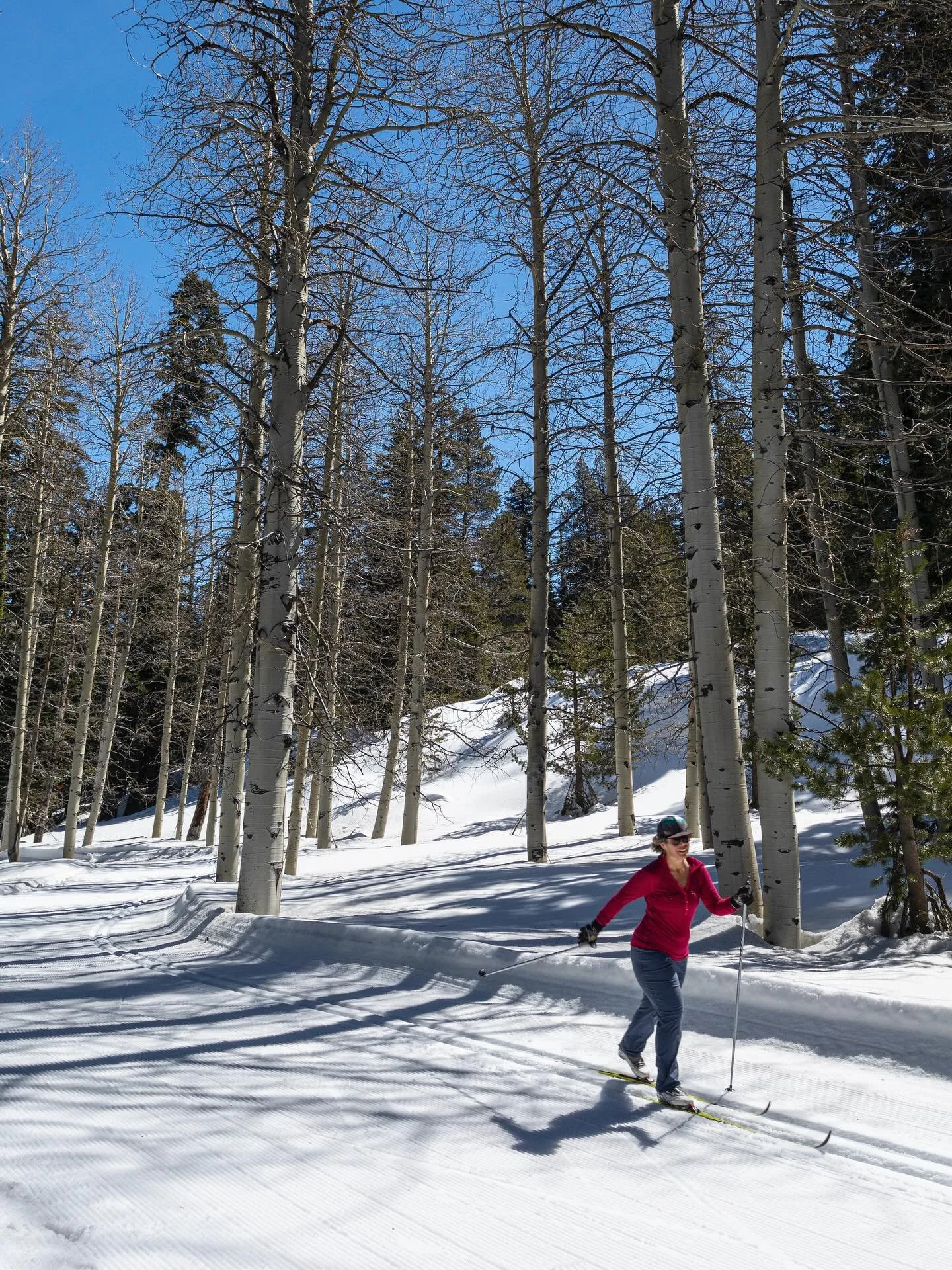 We love spring skiing in January, and are excited for the return to winter weather next week and beyond. In the meantime, this weekend is all about fun in the sun and snow with cross country skiing, snowshoeing, sledding, tubing, and ice skating in B