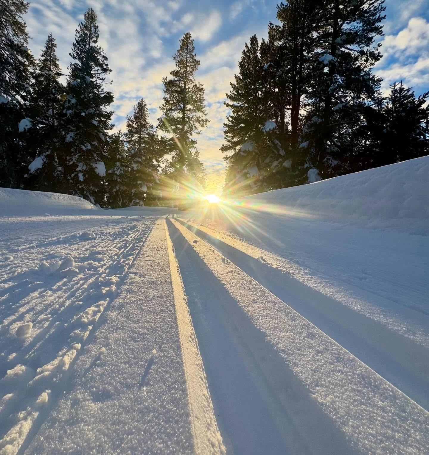 Winter 2.0 has arrived! Over the past week we received 100 inches of new snow. This allowed us to reopen all preexisting trails, and start adding new ones like Headwaters, Indian Rock, Granite Roller and the full Equipe trail. We loom forward to expa