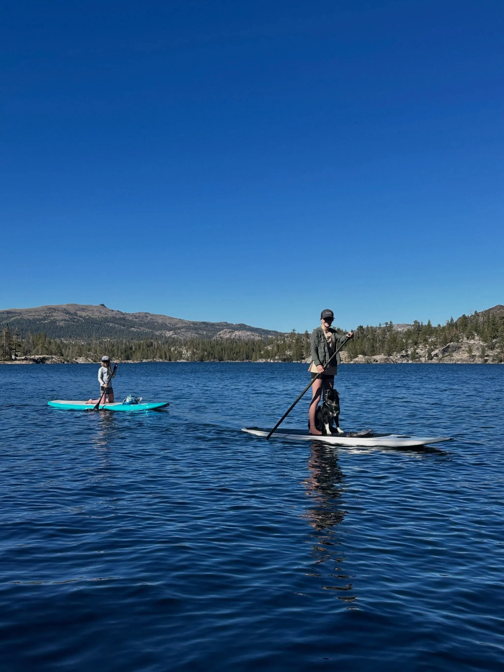 The forecast is calling for another warm week in Bear Valley, and we&rsquo;ve got boat rentals and deliveries available to get you out on the water! Book in person, over the phone, or online at the link in our bio. #bearvalley #sierranevada #summer