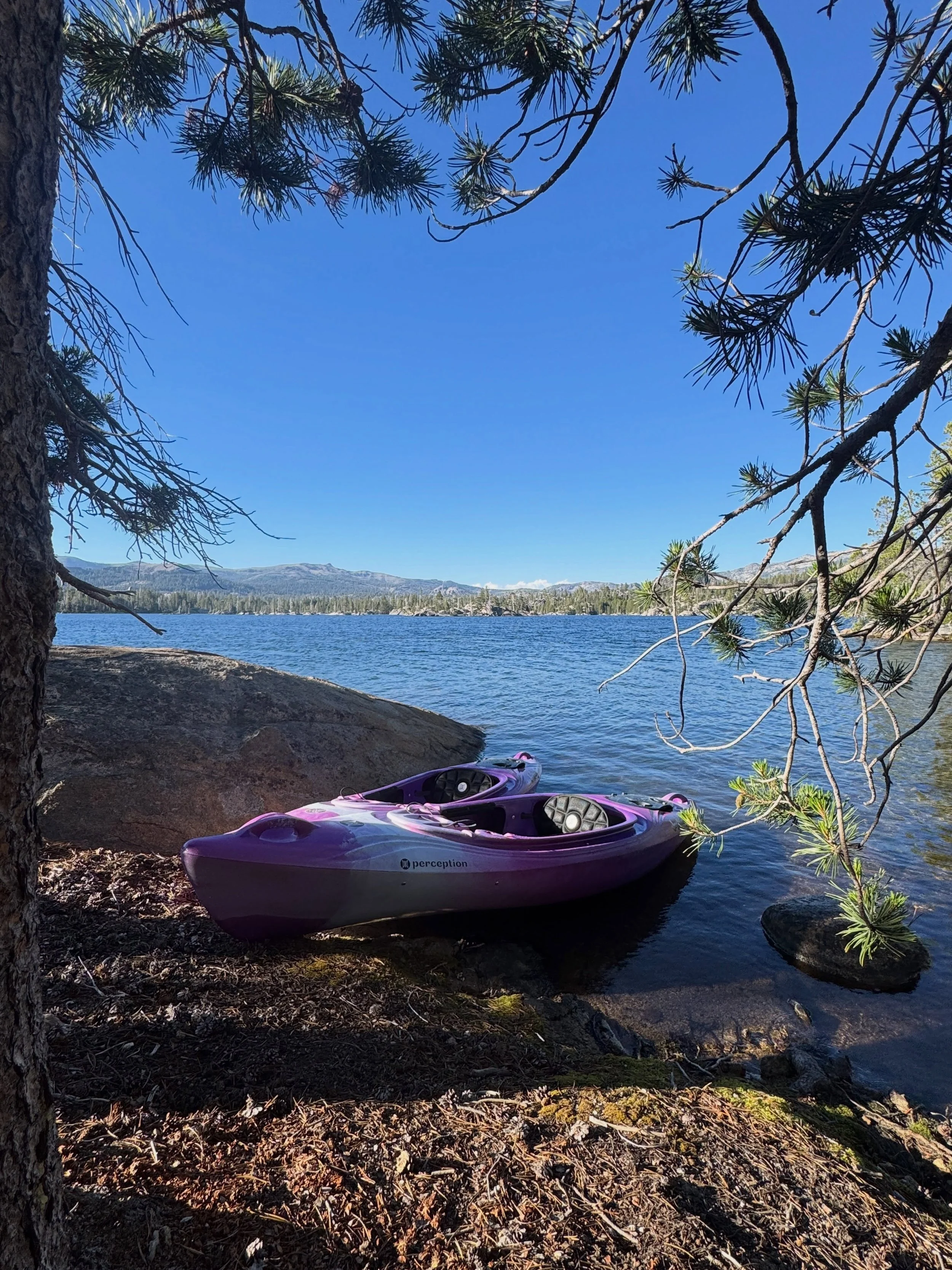 The summer is slowly winding down, but there&rsquo;s still plenty of time to get out on the water! Book boat rentals and deliveries in person, over the phone, or online through the link in our bio. #bearvalley #sierranevada #summer