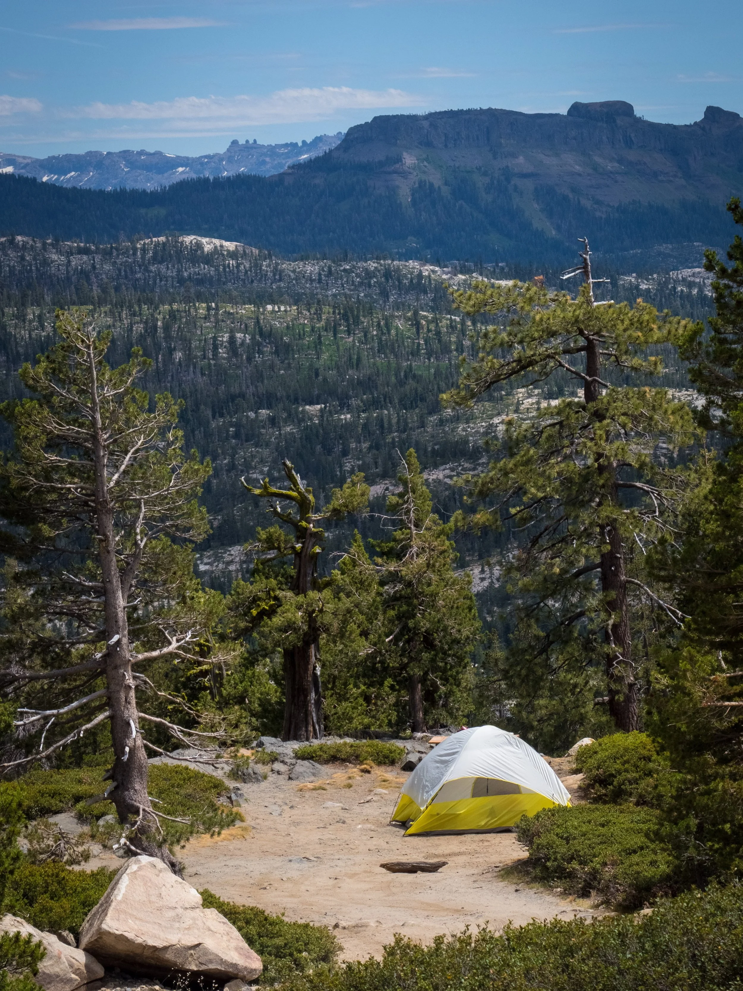 Looking for something to do this weekend? Come camp in Bear Valley! Stop by our store for camping equipment, campground information, and s&rsquo;mores supplies. 🏕️🍫#bearvalley #sierranevada #campingseason