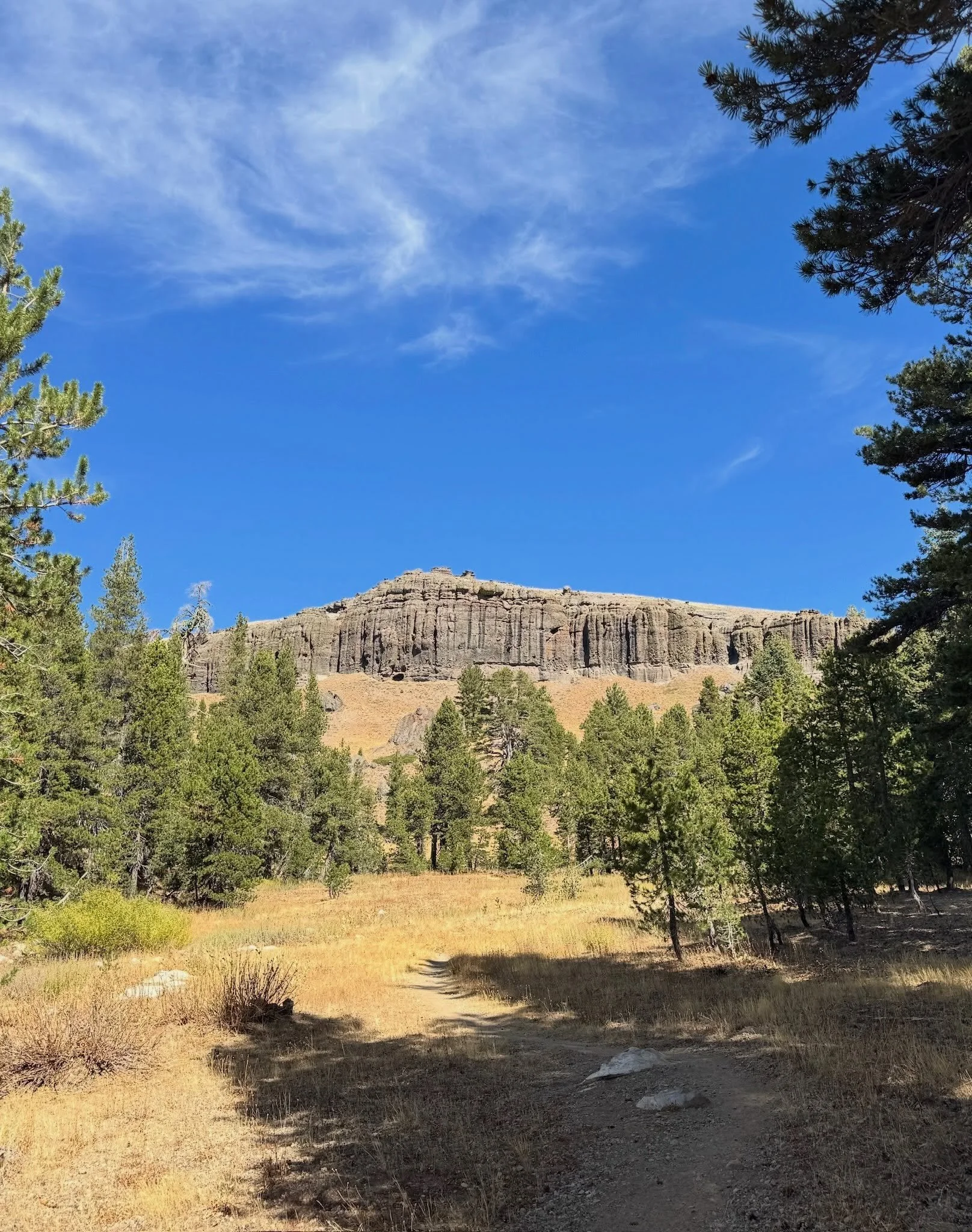 Have you ever wondered about the geologic forces responsible for creating the beautiful landscapes of Bear Valley? Join us this Sunday, August 23rd, and learn more about Sierra Nevada geology on a guided hike. More info can be found under the events 