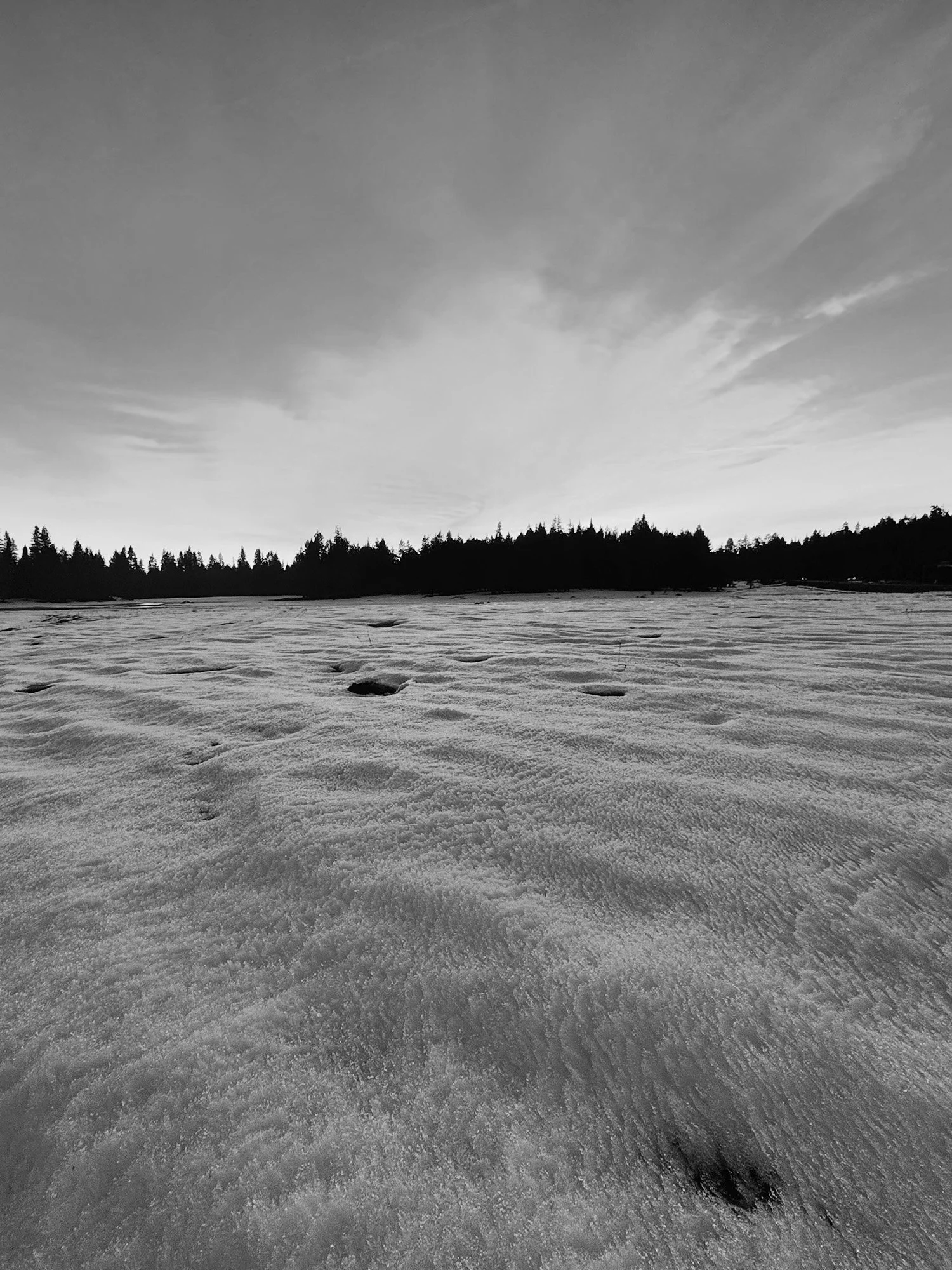 January 2026 Happenings